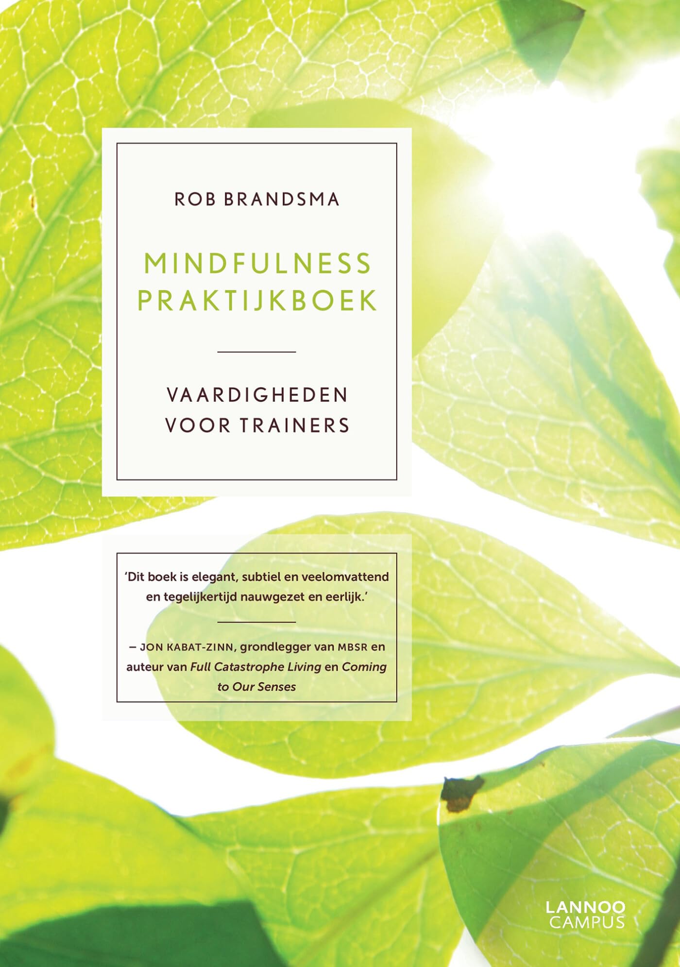 Mindfulness praktijkboek: vaardigheden voor trainers book