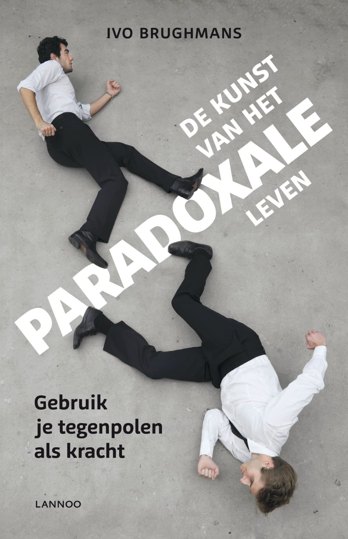 De kunst van het paradoxale leven: gebruik je tegenpolen als kracht Politics & History