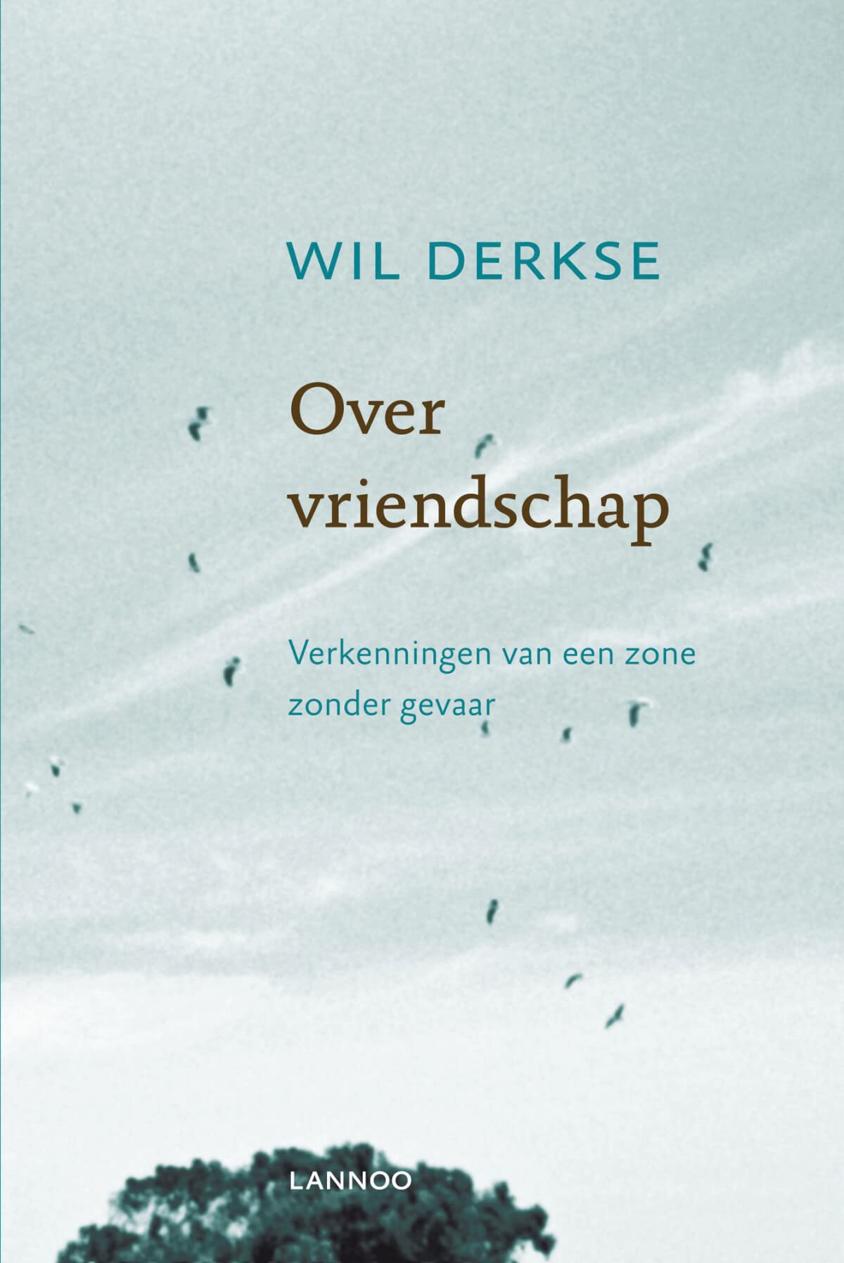 Over vriendschap: verkenningen van een zone zonder gevaar book