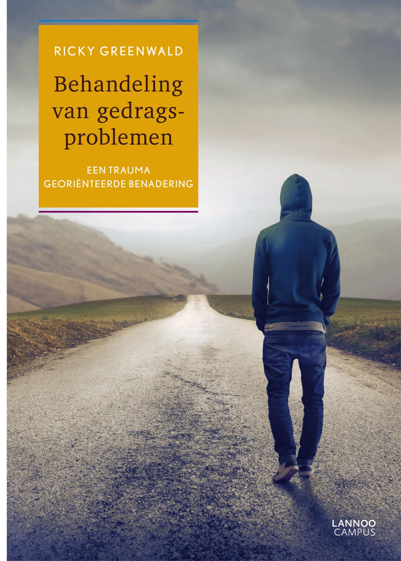 Behandeling van gedragsproblemen: een trauma georiënteerde benadering book