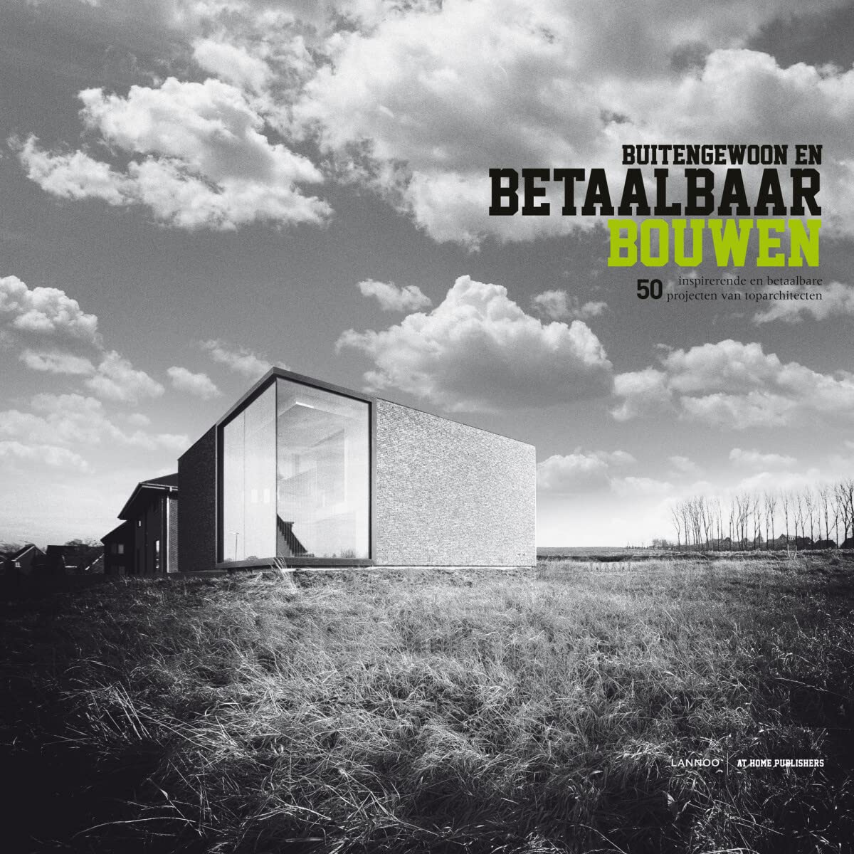 Buitengewoon en betaalbaar bouwen: 50 inspirerende en betaalbare projecten van toparchitecten (Buitengewoon betaalbaar Bouwen) Hobbies & Crafts
