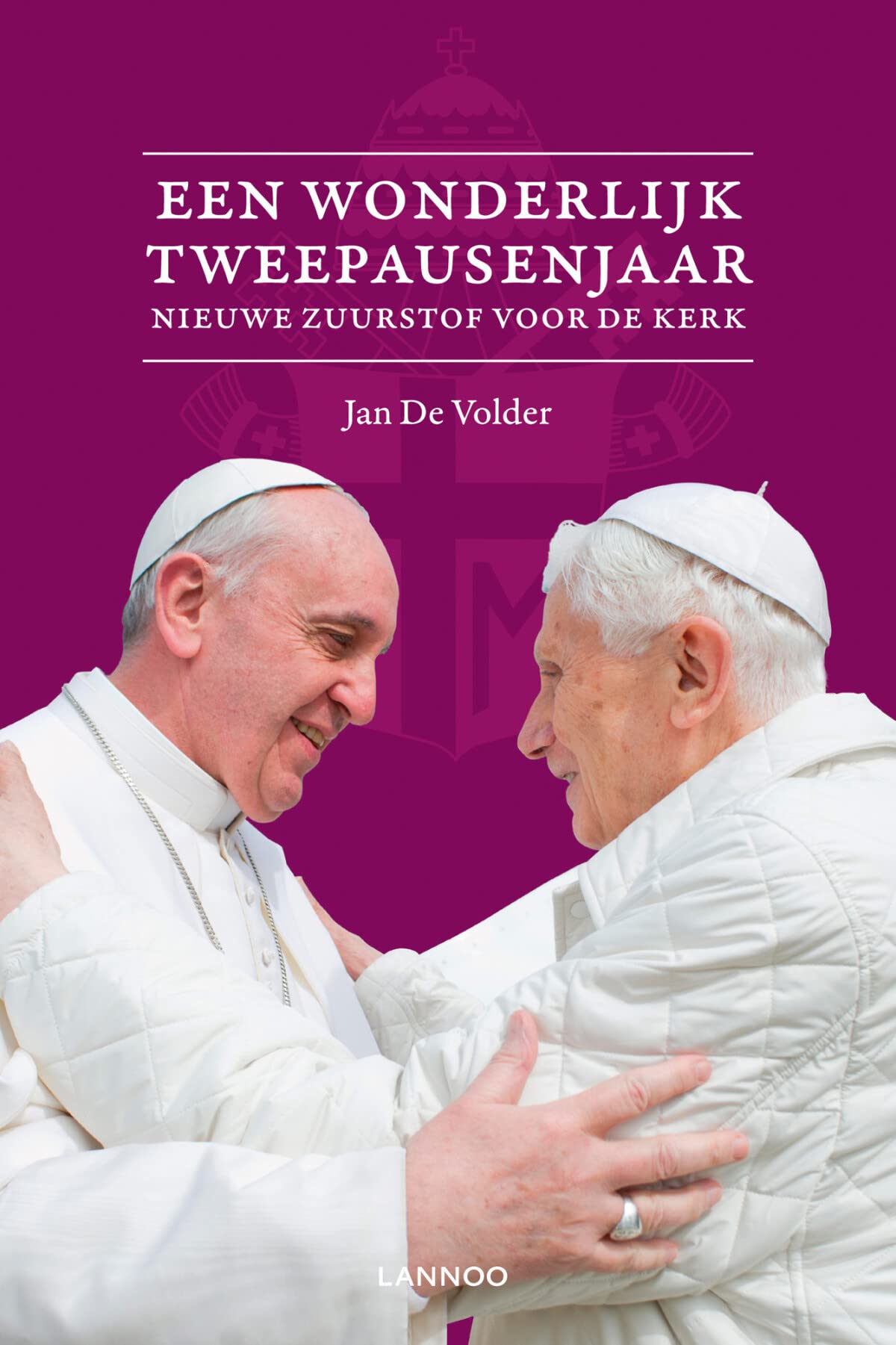 Een wonderlijk tweepausenjaar: Nieuwe zuurstof voor de Kerk book