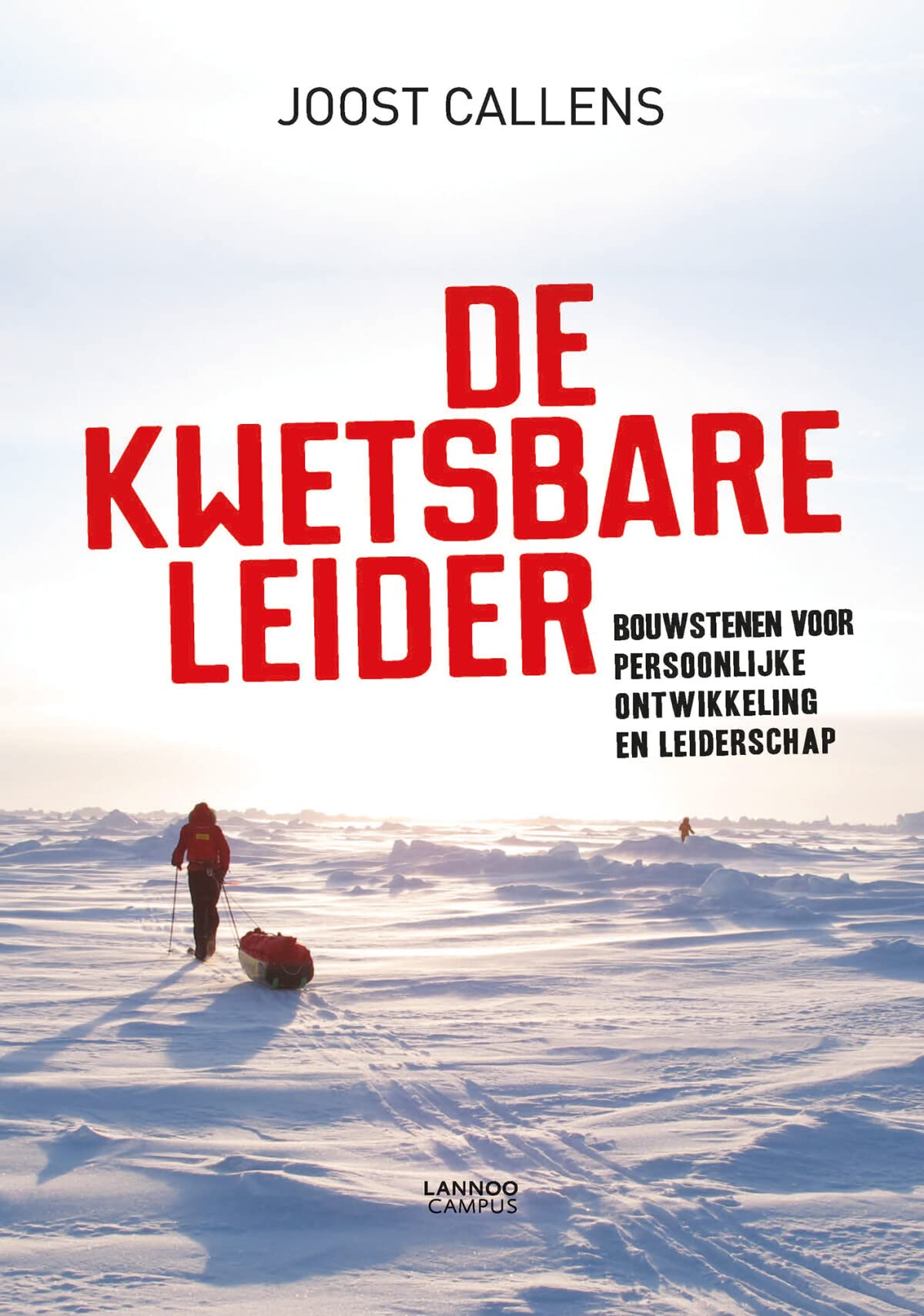 De kwetsbare leider: bouwstenen voor persoonlijke ontwikkeling en leiderschap book