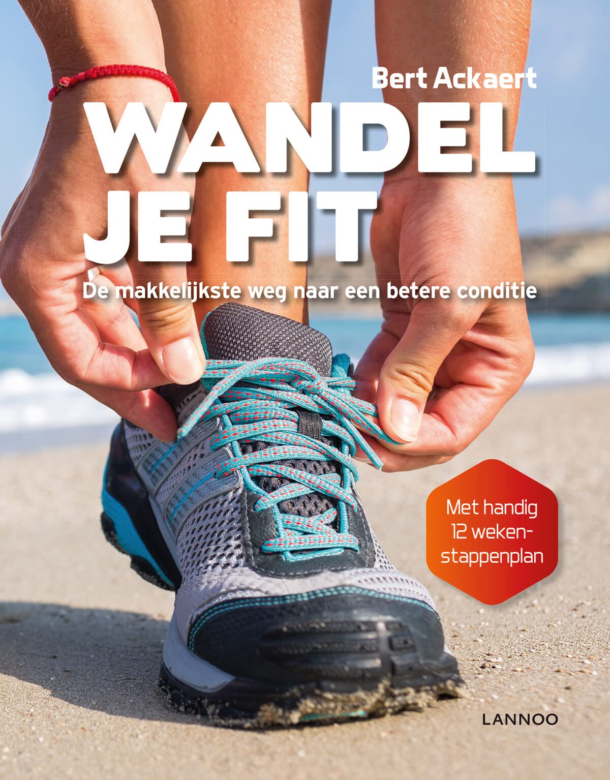 Wandel je fit: de makkelijkste weg naar een betere conditie book