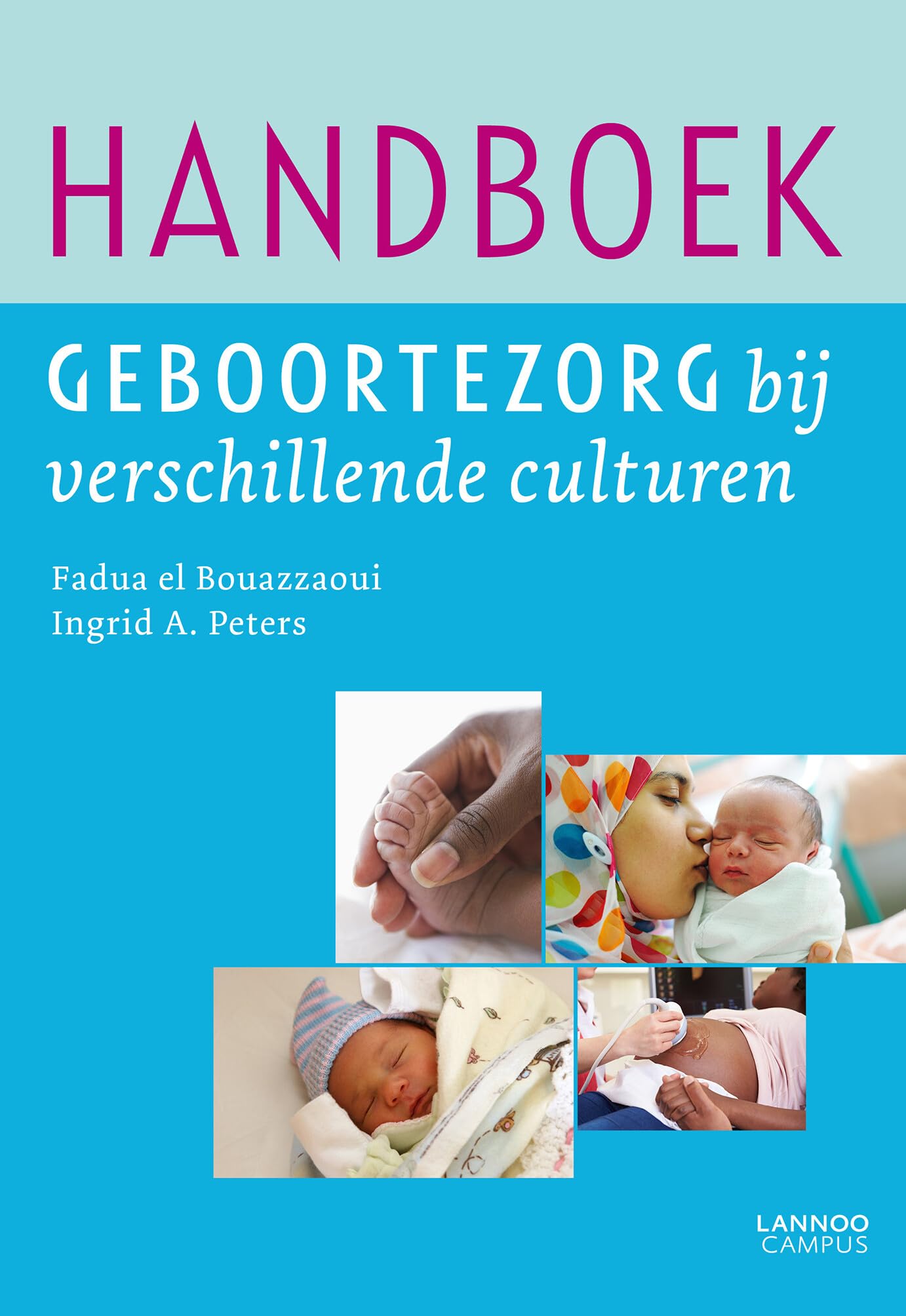 Handboek geboortezorg bij verschillende culturen book
