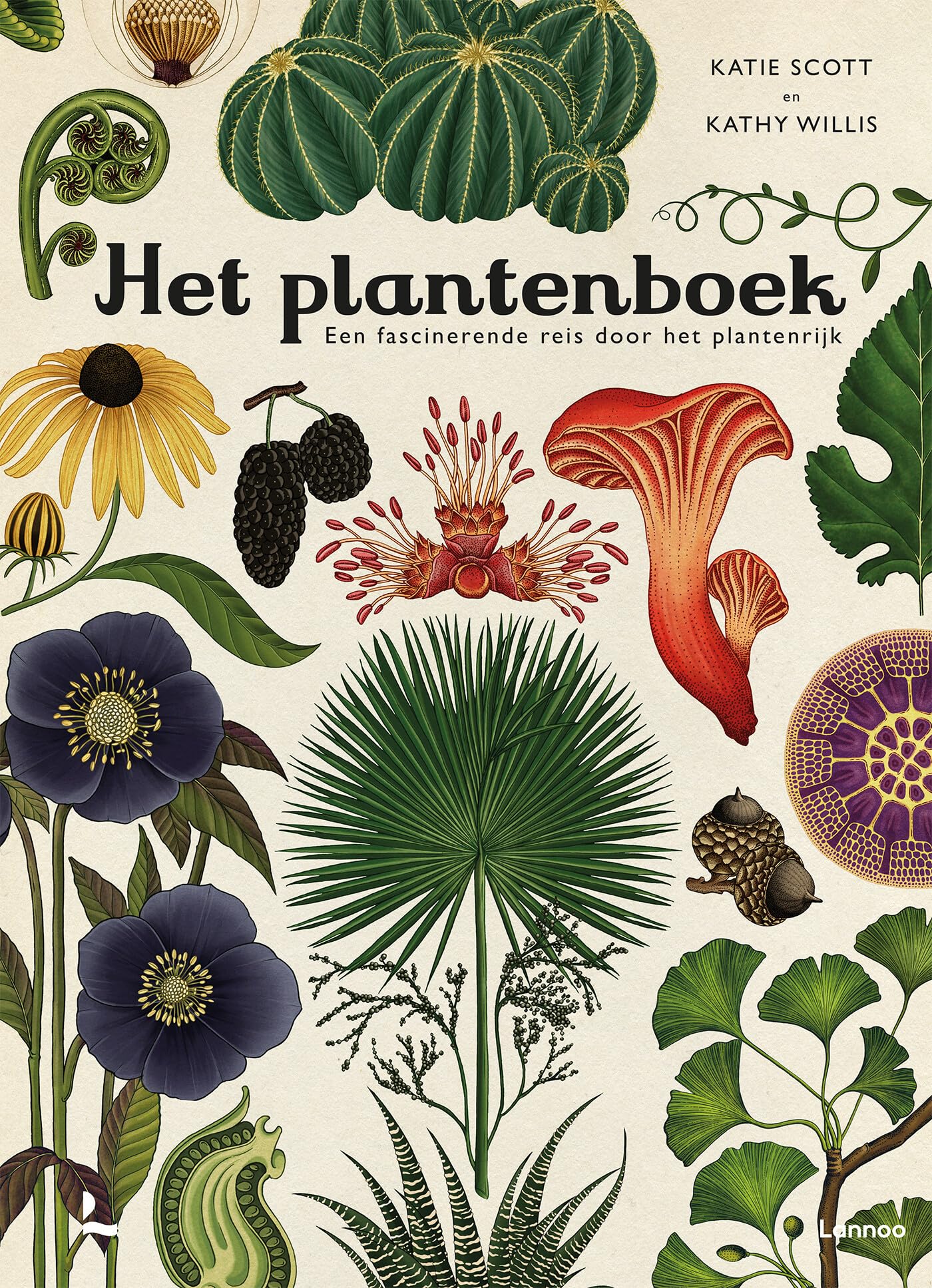 Het plantenboek: een fascinerende reis door het plantenrijk book