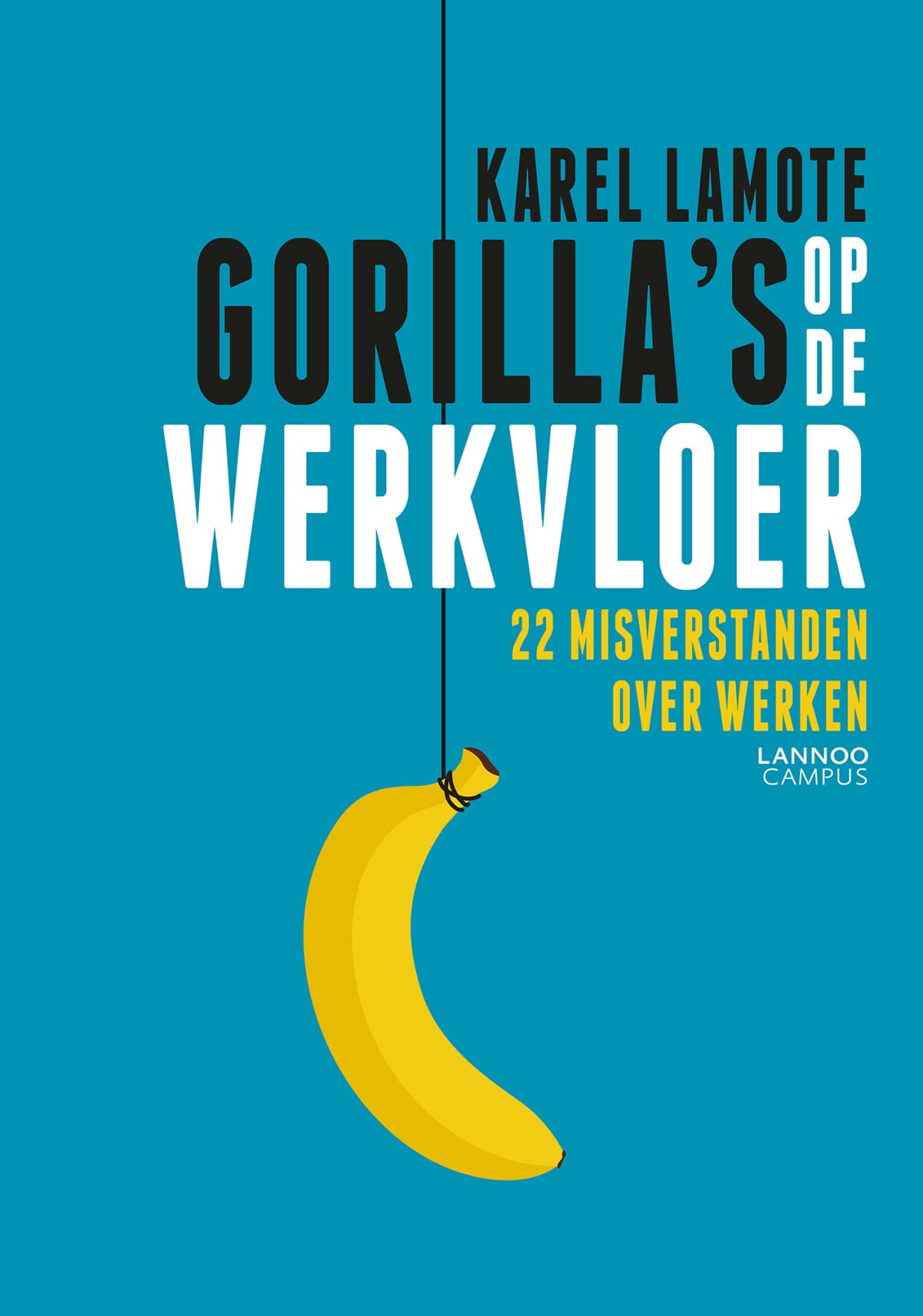 Gorilla's op de werkvloer: 22 misverstanden over werken Social Sciences