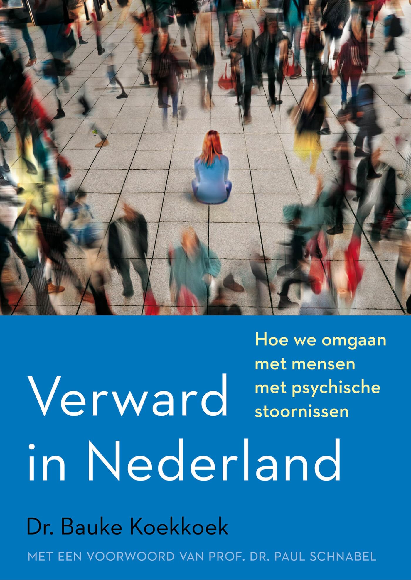 Verward in Nederland: Hoe we omgaan met mensen met psychische stoornissen Social Sciences