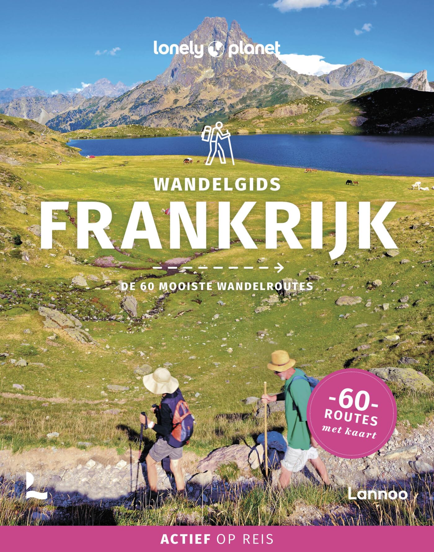 Wandelgids Frankrijk: de mooiste wandelroutes (Lonely planet) Leisure, Home & Garden