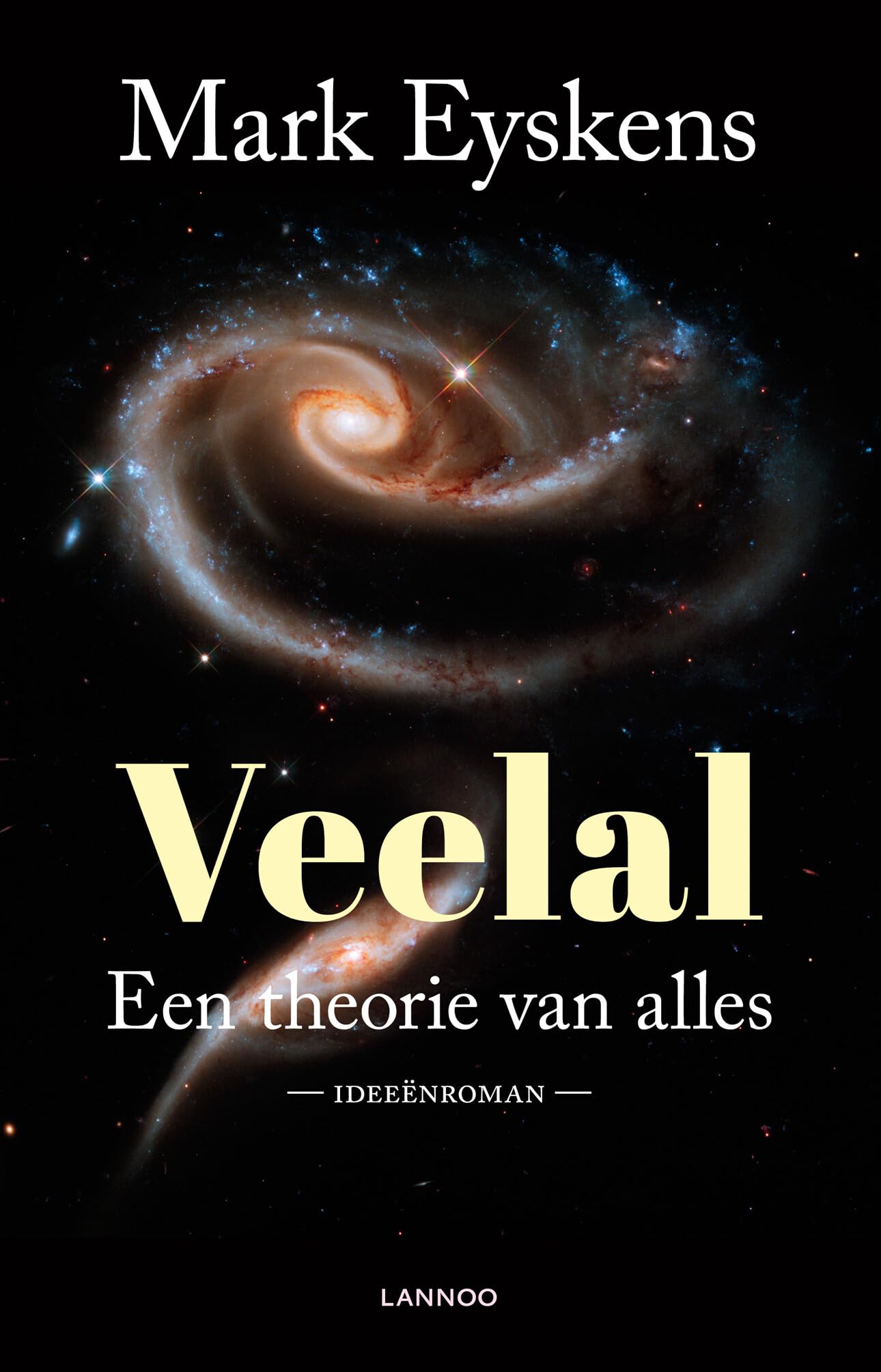Veelal: Een theorie van alles. Ideeënroman Contemporary literature