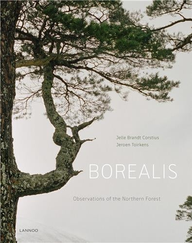 Jeroen Toirkens Borealis The Lungs of the Earth Photography