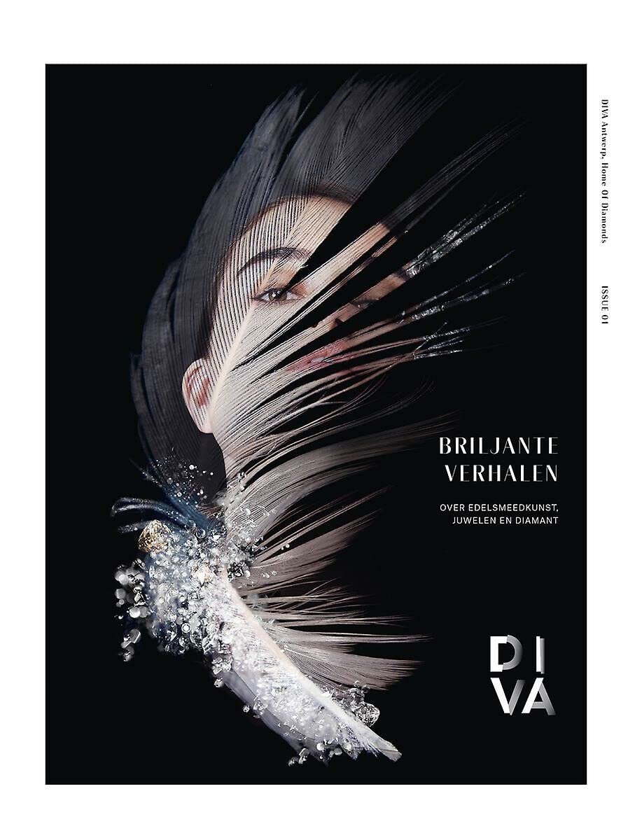 Briljante verhalen: over edelsmeedkunst, juwelen en diamant book