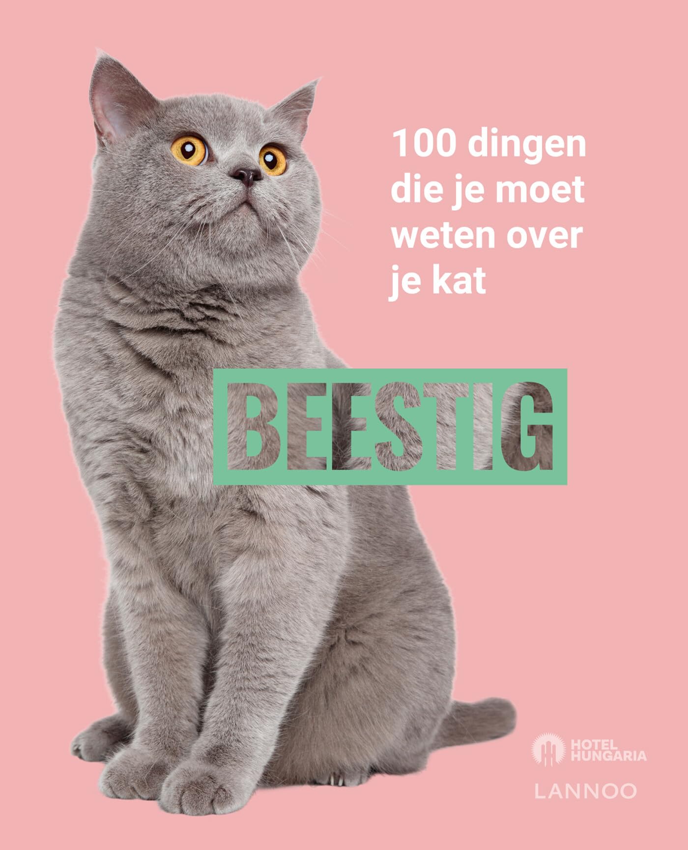BEESTIG: katten: 100 dingen die je moet weten over je kat book