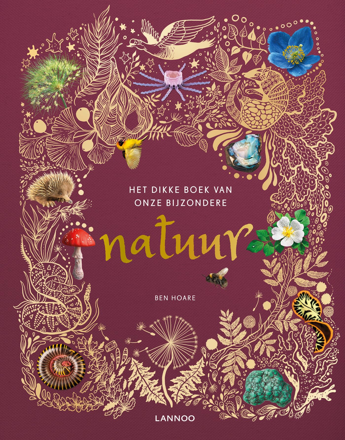 Het dikke boek van onze bijzondere natuur Non-fiction