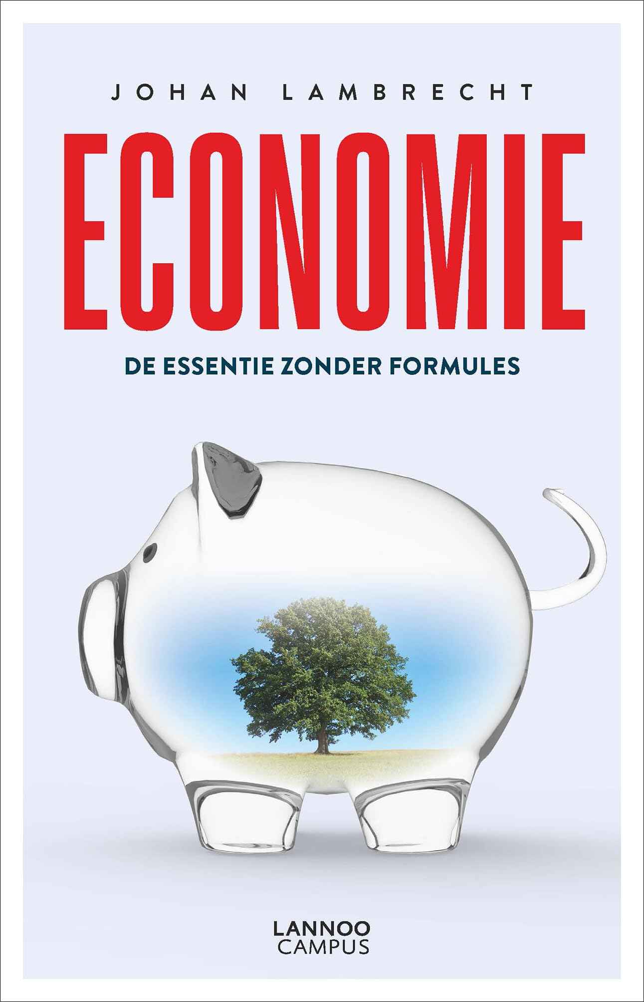 Economie: De essentie zonder formules book