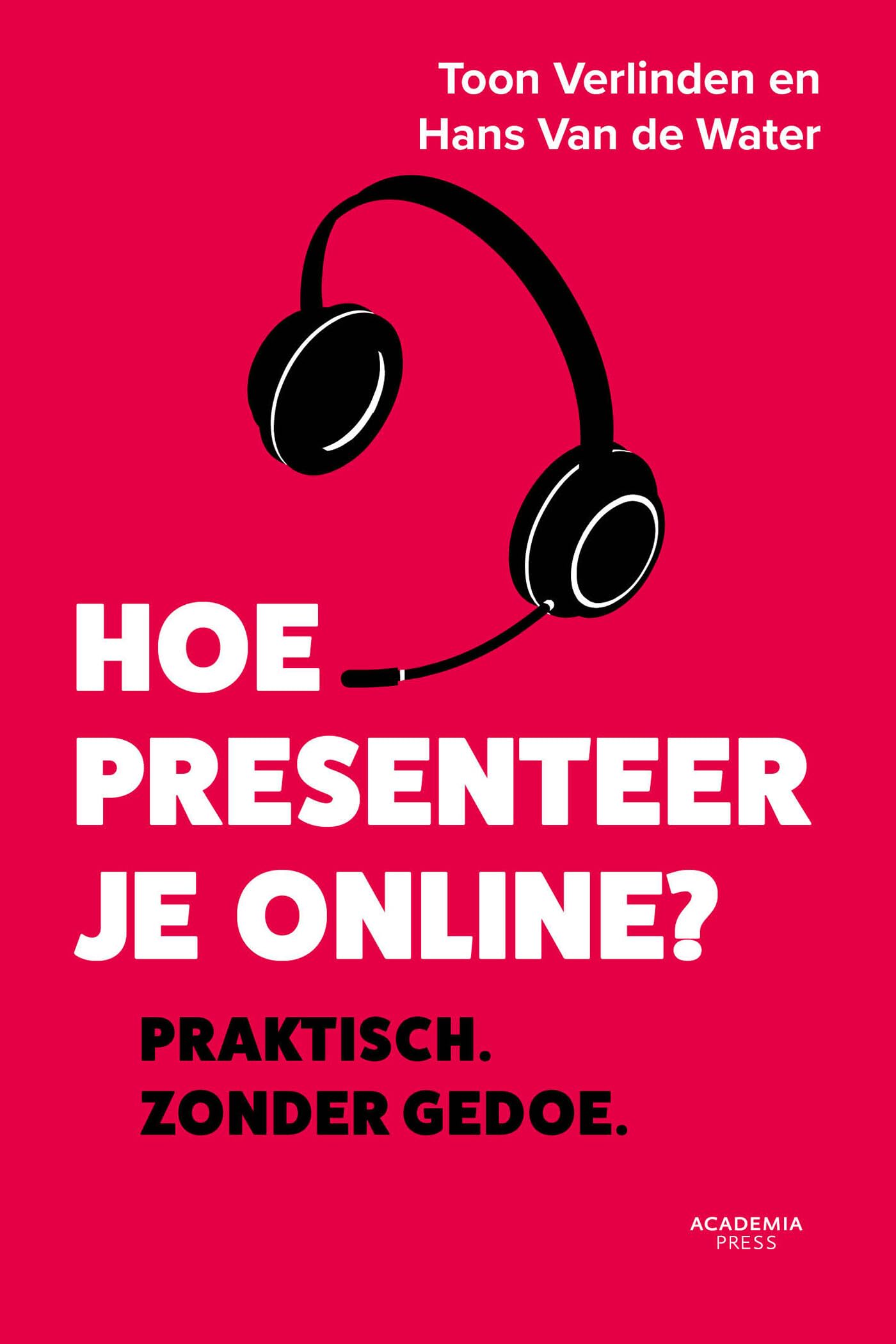 Hoe presenteer je online?: Praktisch. Zonder gedoe. book