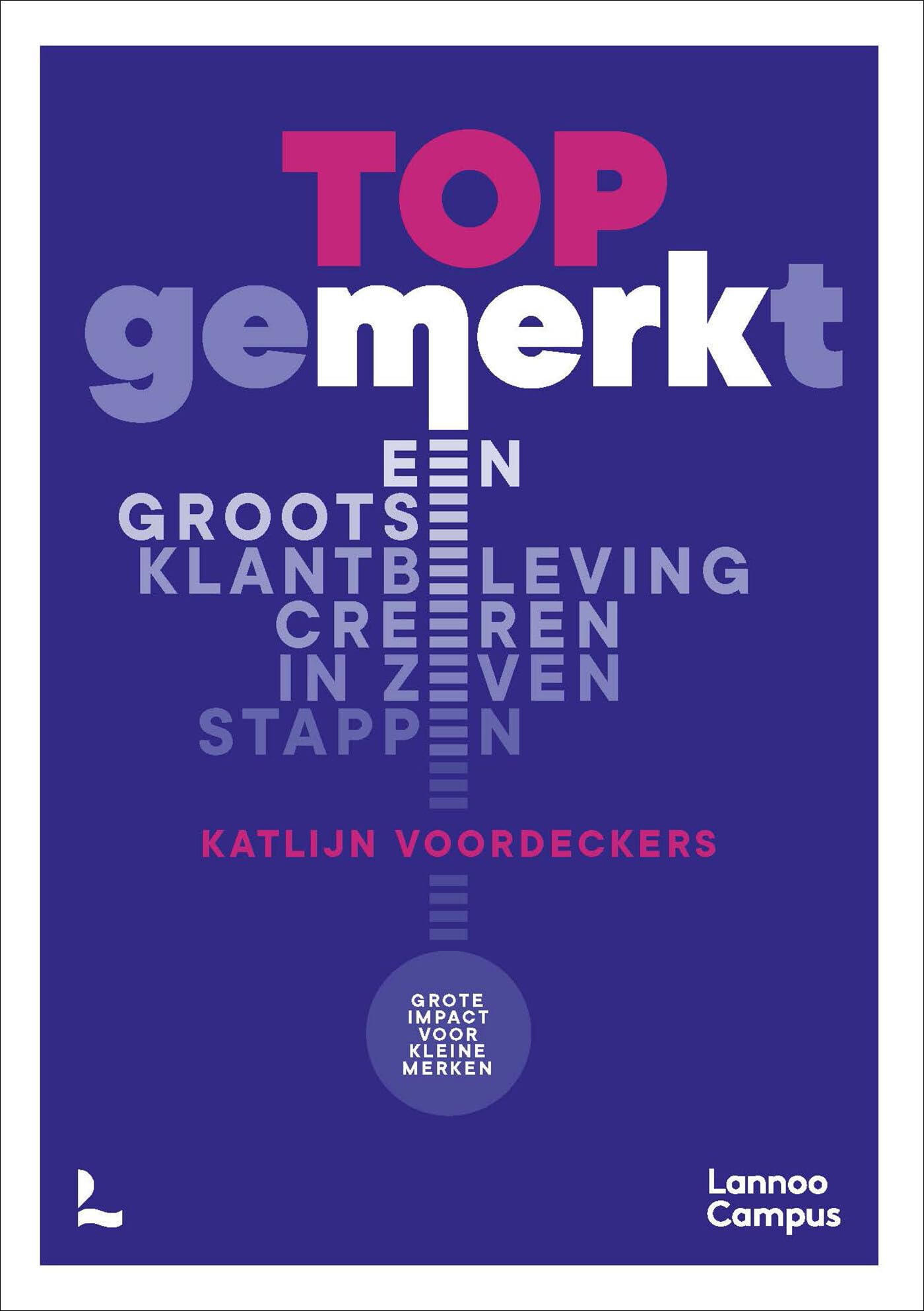 TOPgemerkt: een grootse klantbeleving creëren in zeven stappen : grote impact voor kleine merken book
