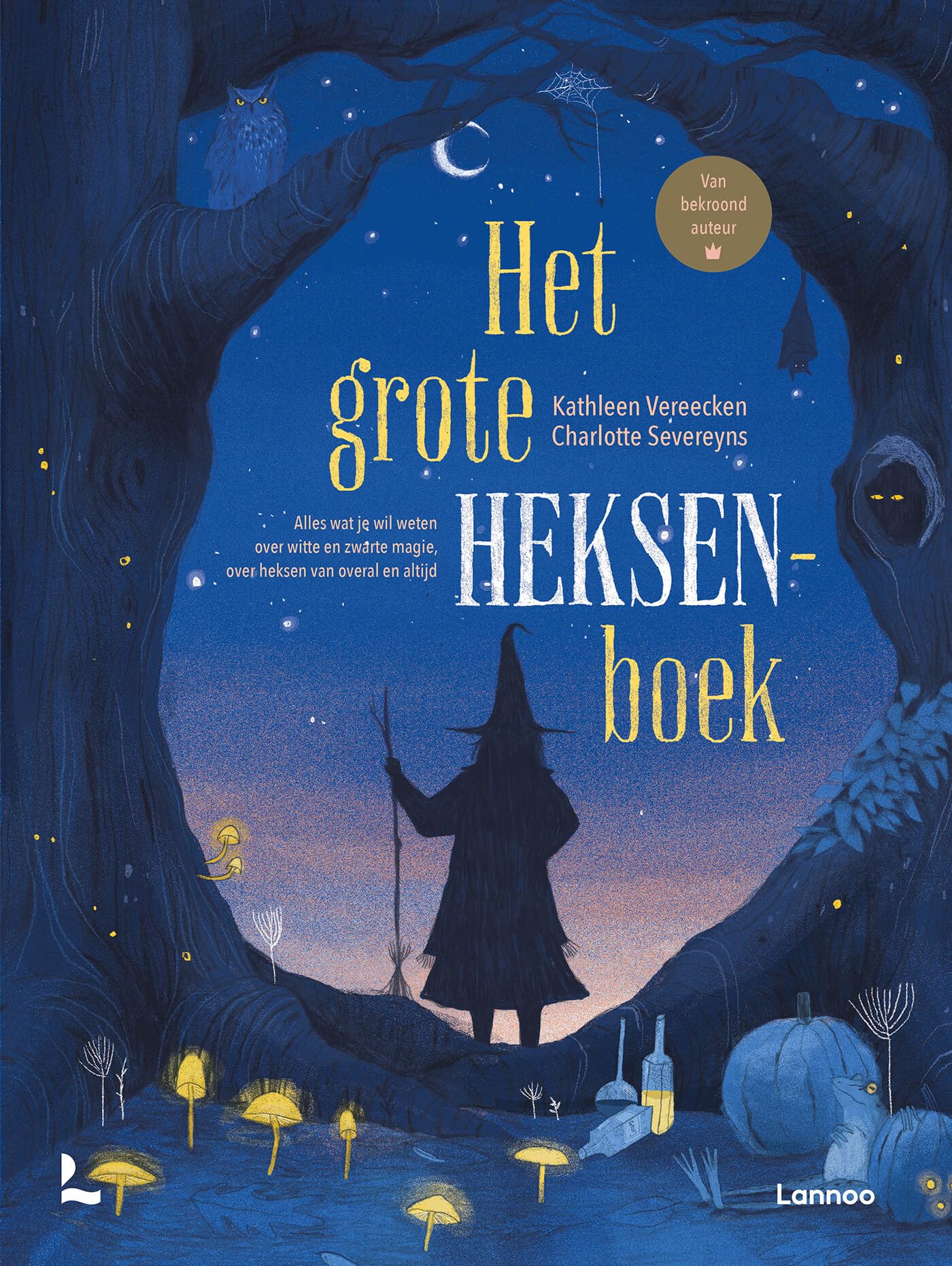 Het grote heksenboek: alles wat je wil weten over witte en zwarte magie, over heksen van overal en altijd book