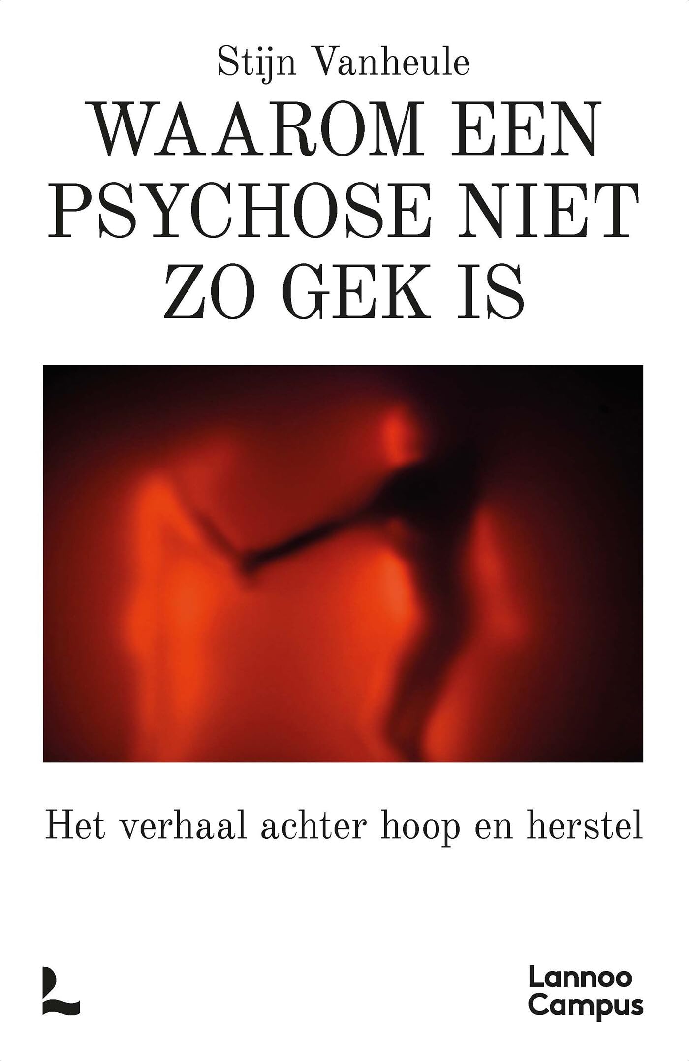 Waarom een psychose niet zo gek is: het verhaal achter hoop en herstel book