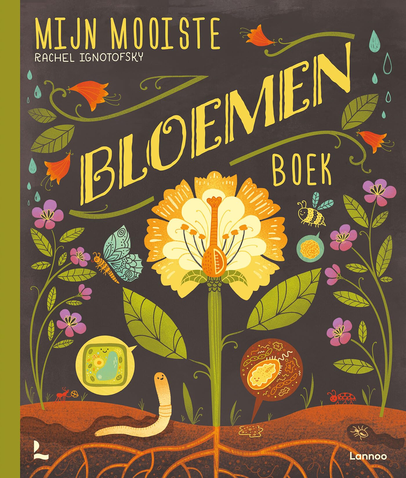 Mijn mooiste bloemenboek book