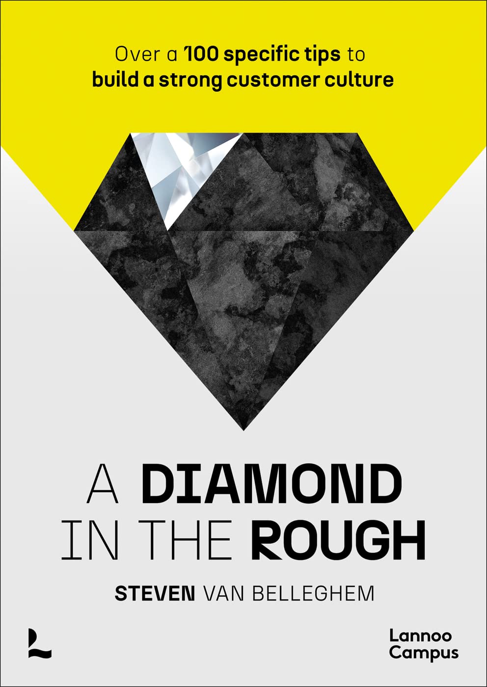 A Diamond in the Rough: Over a 100 Specific Tips to Build a Strong Customer Culture Business, Finance & Career