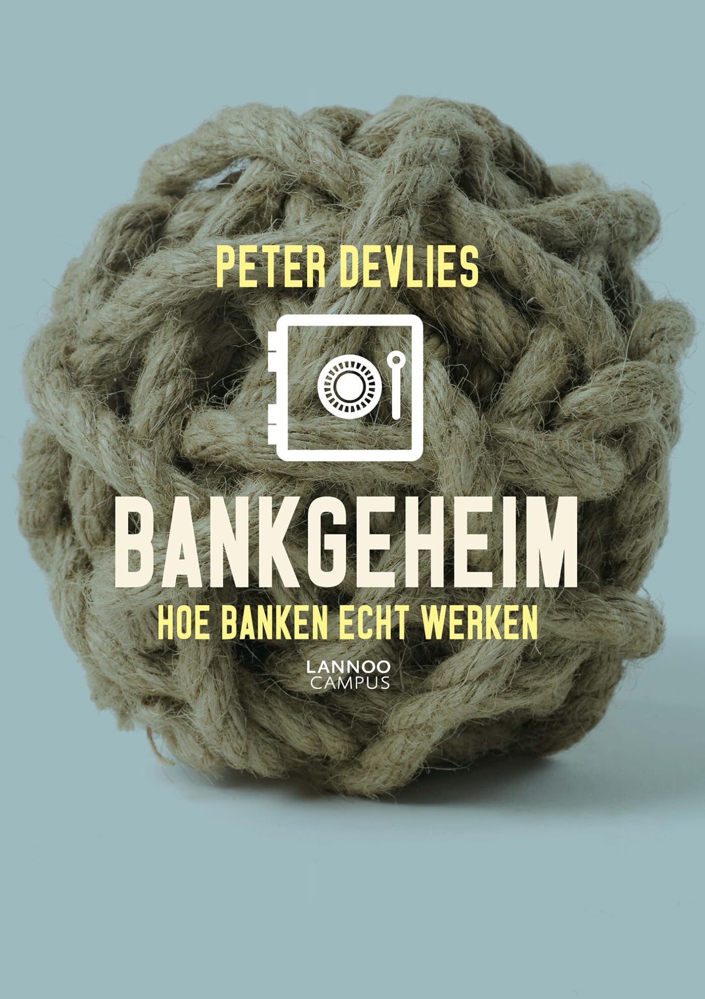 Bankgeheim: hoe banken echt werken book