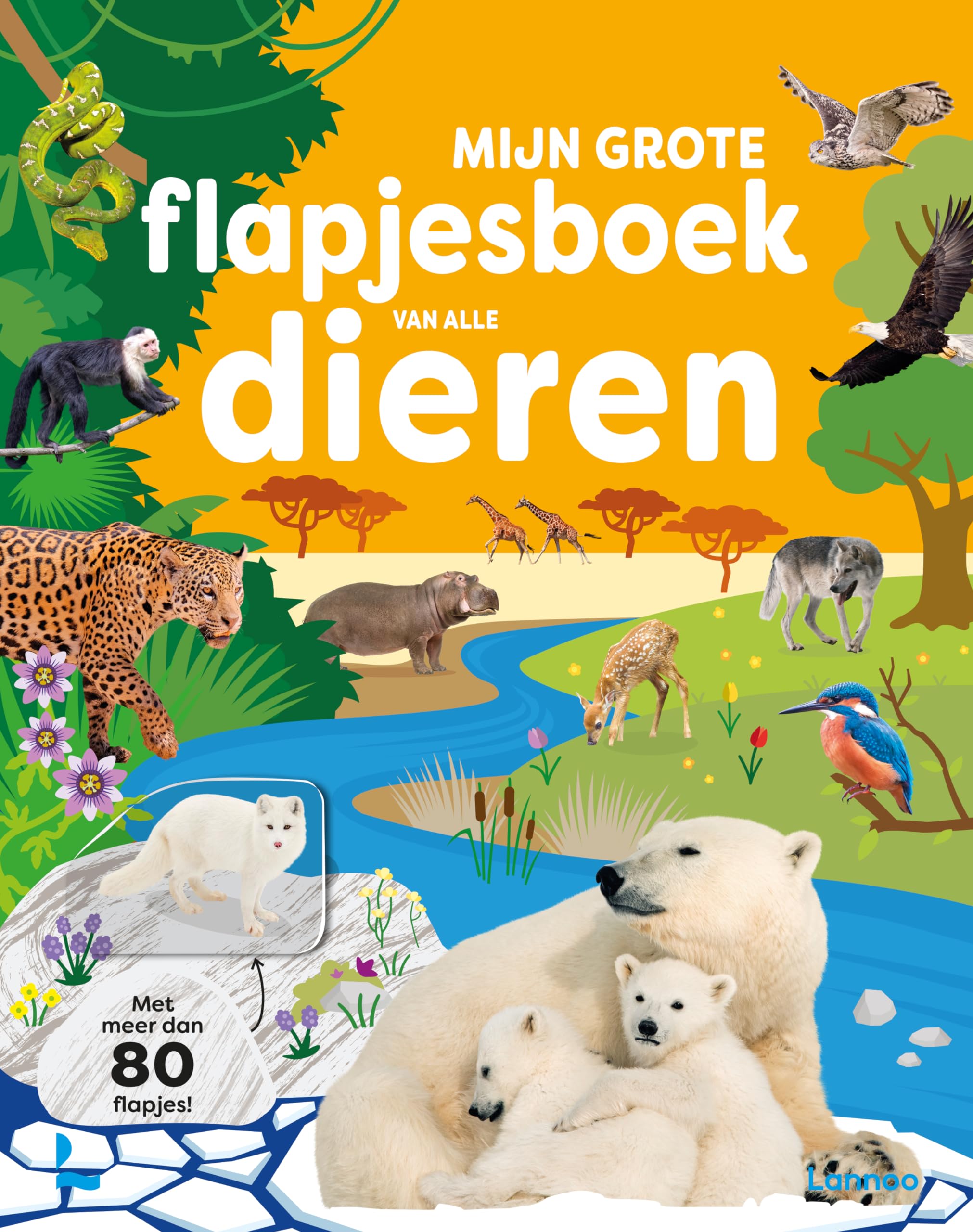 Mijn grote flapjesboek van alle dieren book