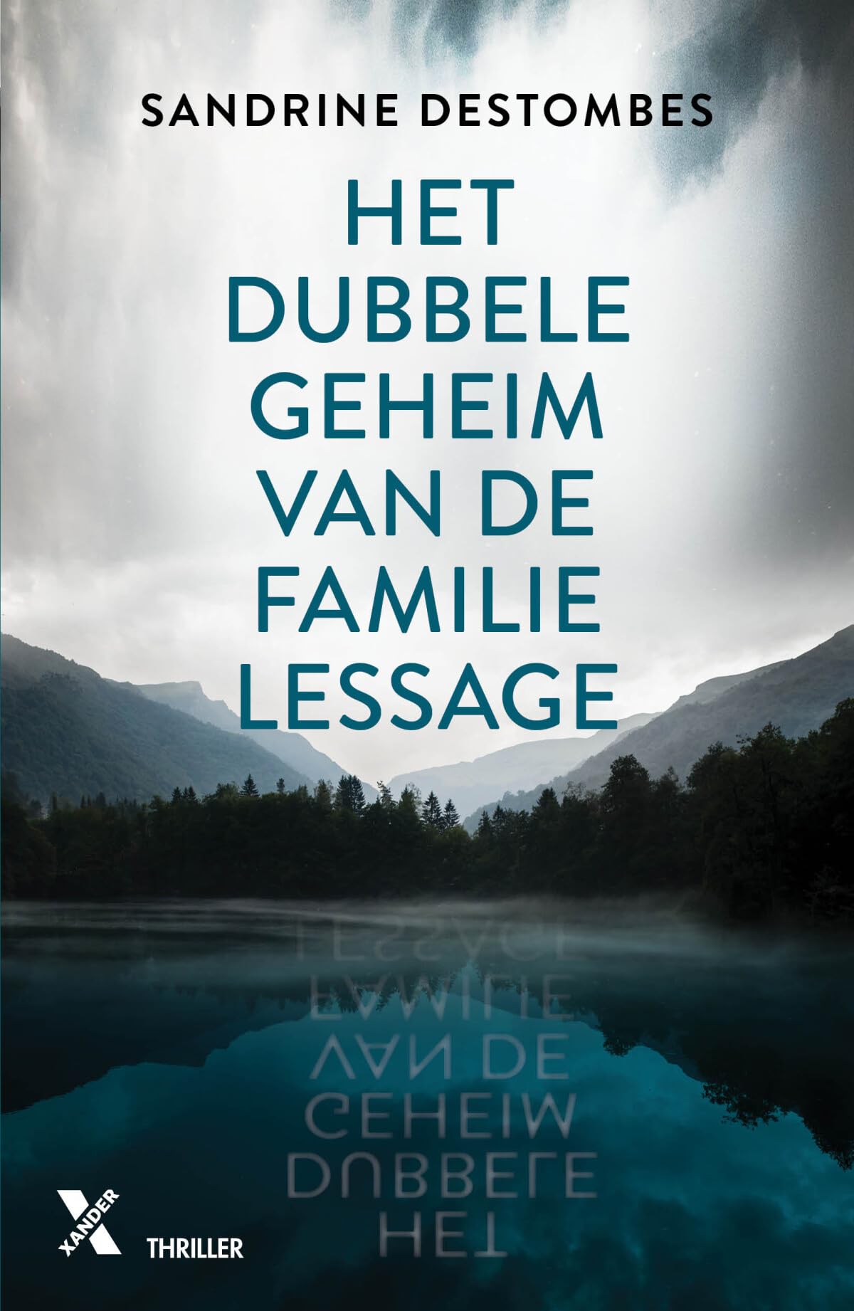 Het dubbele geheim van de familie Lessage book