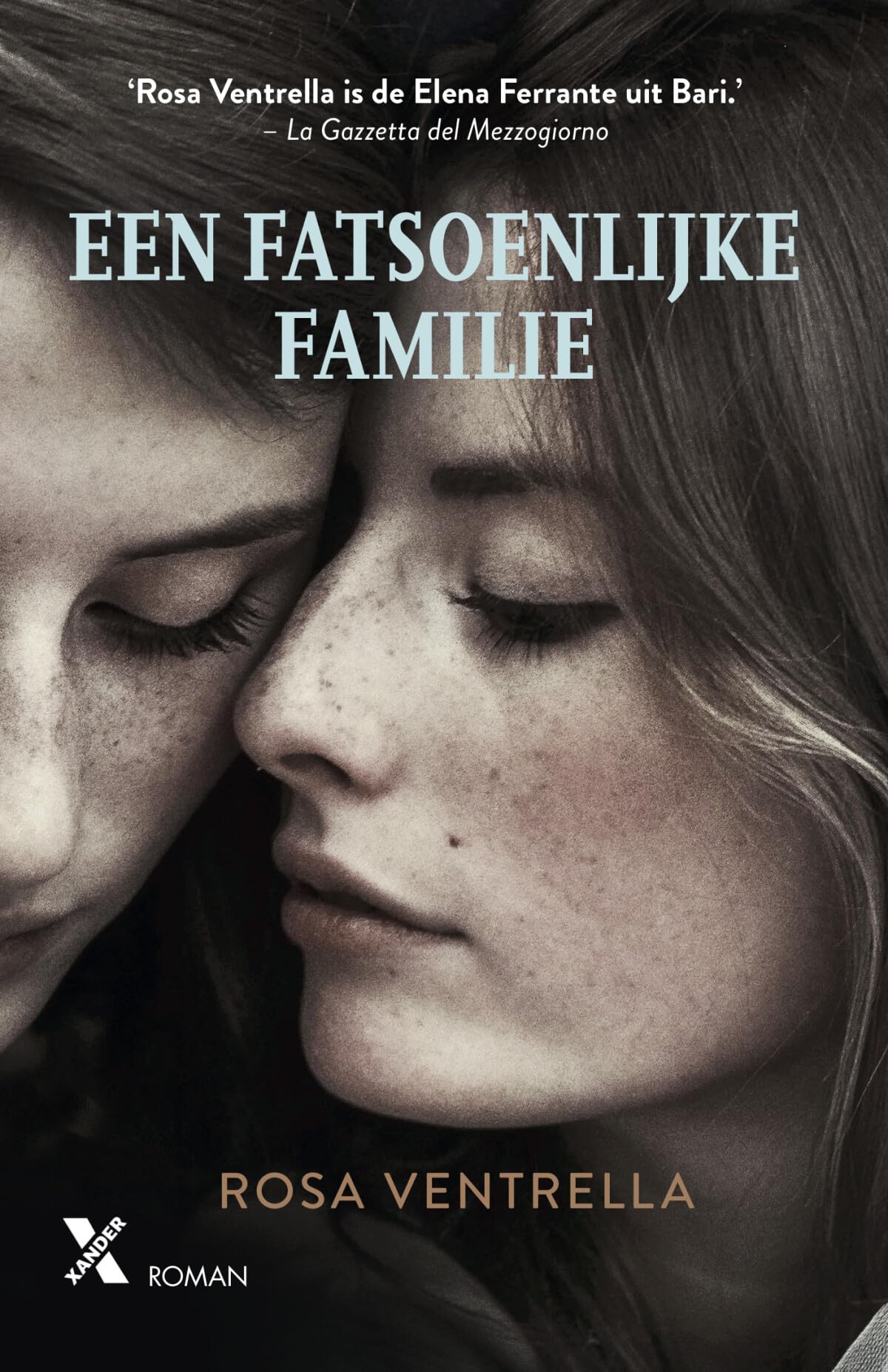 Een fatsoenlijke familie book