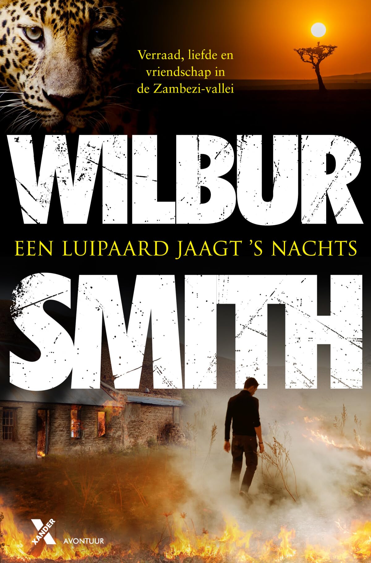 Een luipaard jaagt 's nachts book