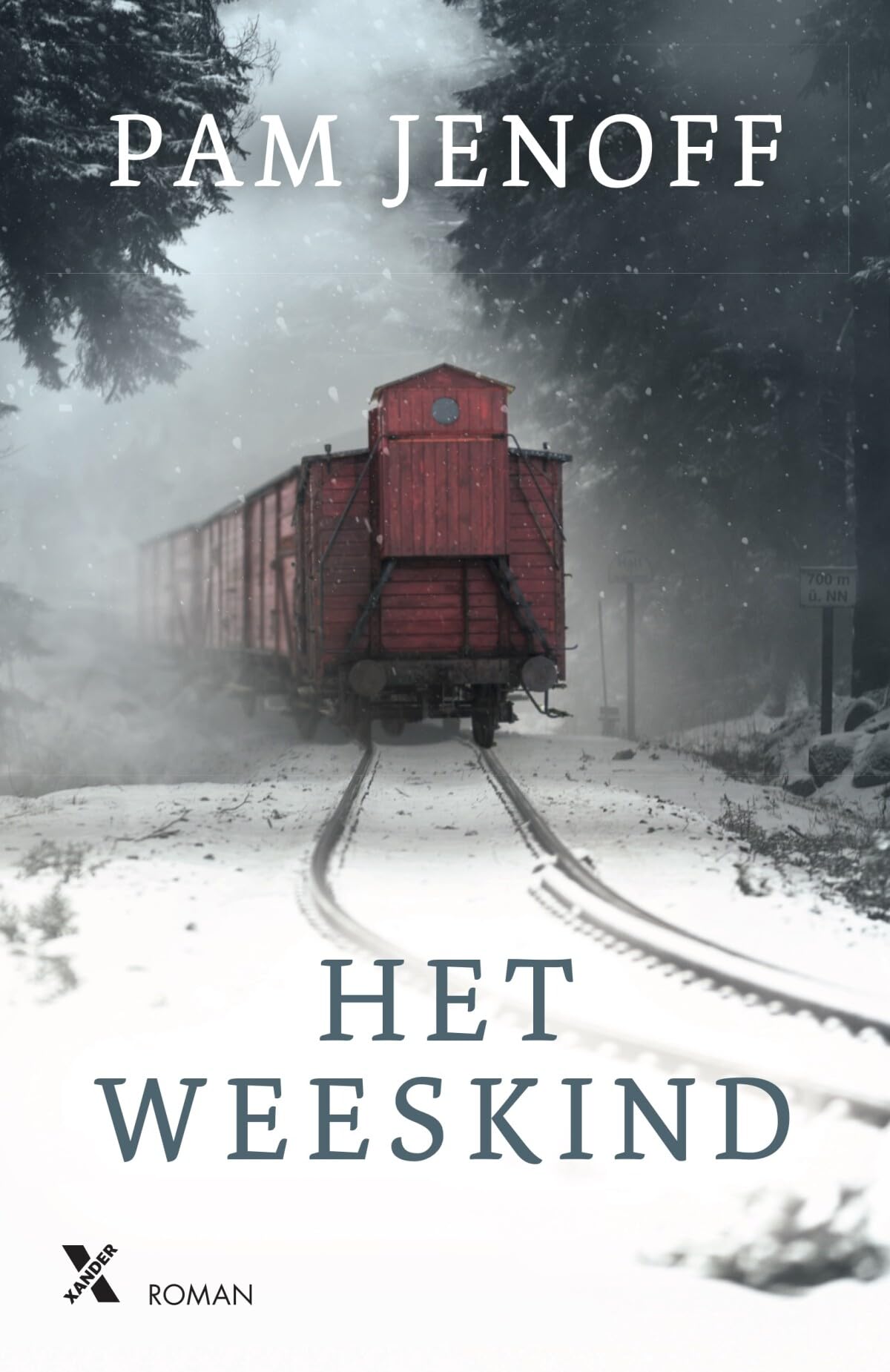 Het weeskind Action & Adventure