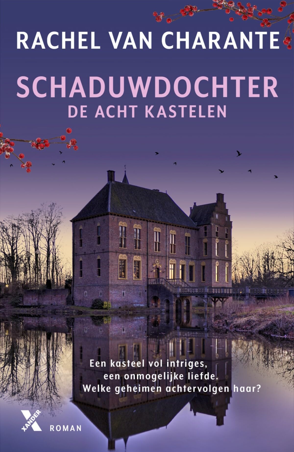 Schaduwdochter (De acht kastelen, 1) Historical Fiction