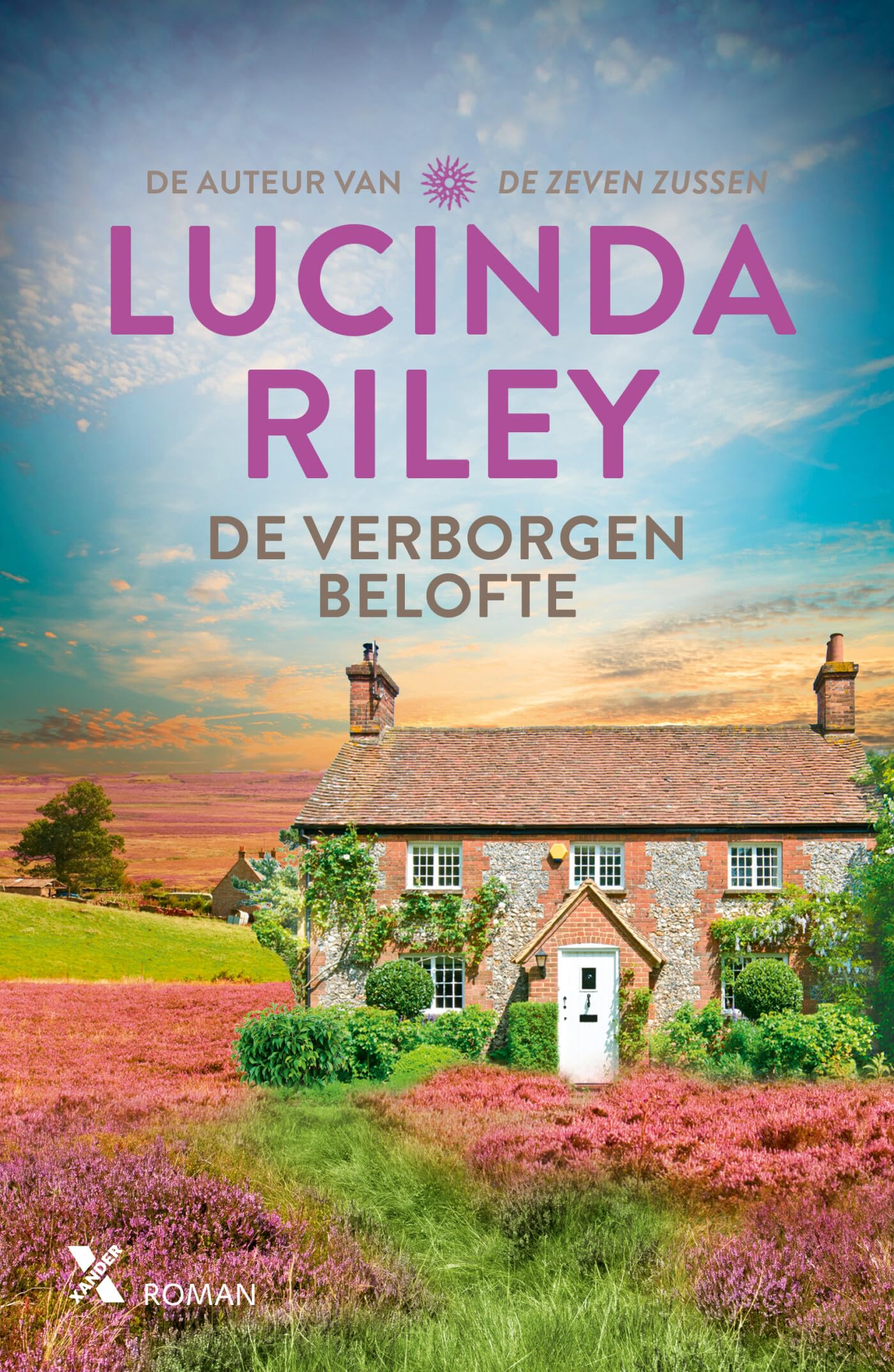 De verborgen belofte Contemporary literature