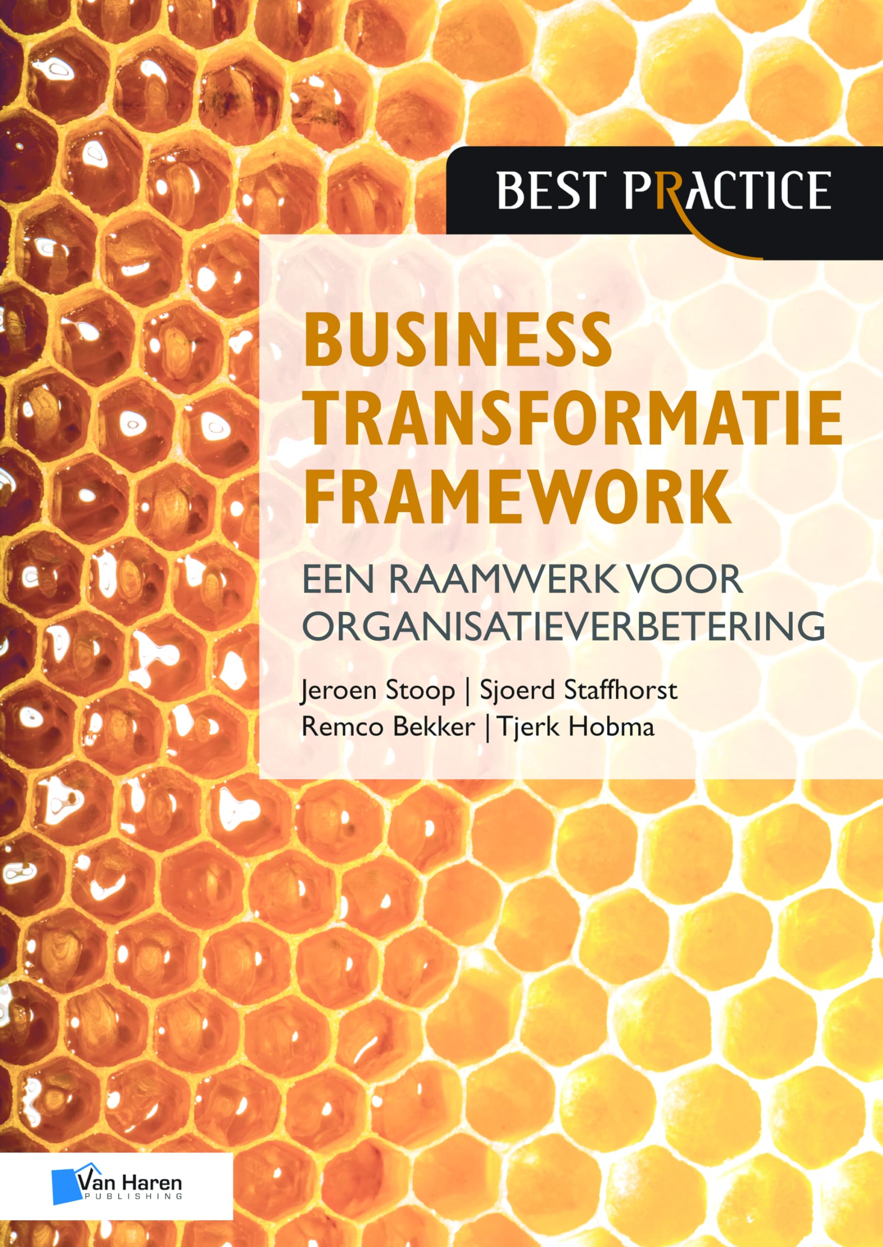 Business Transformatie Framework - een raamwerk voor organisatieverbetering book