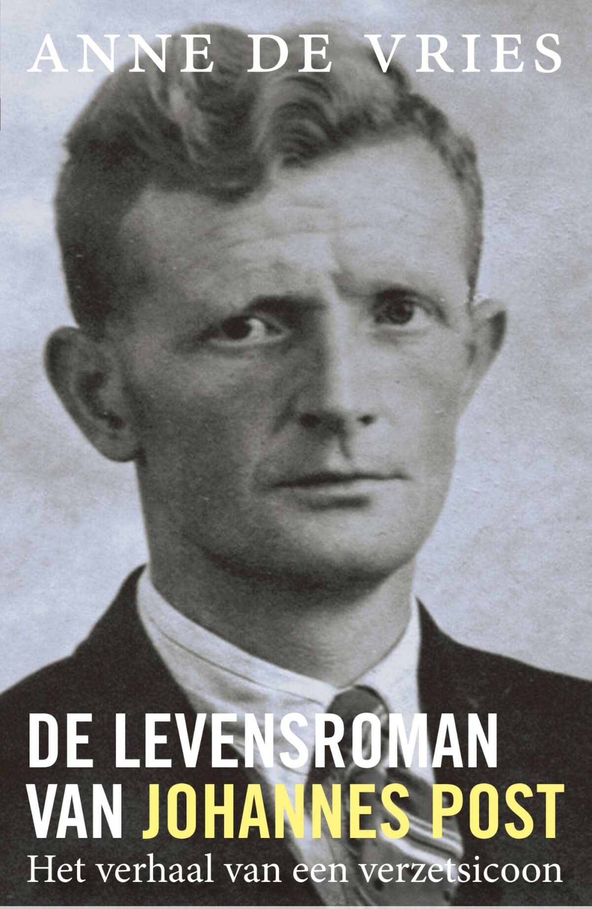 De levensroman van Johannes Post: Het verhaal van een verzetsicoon book
