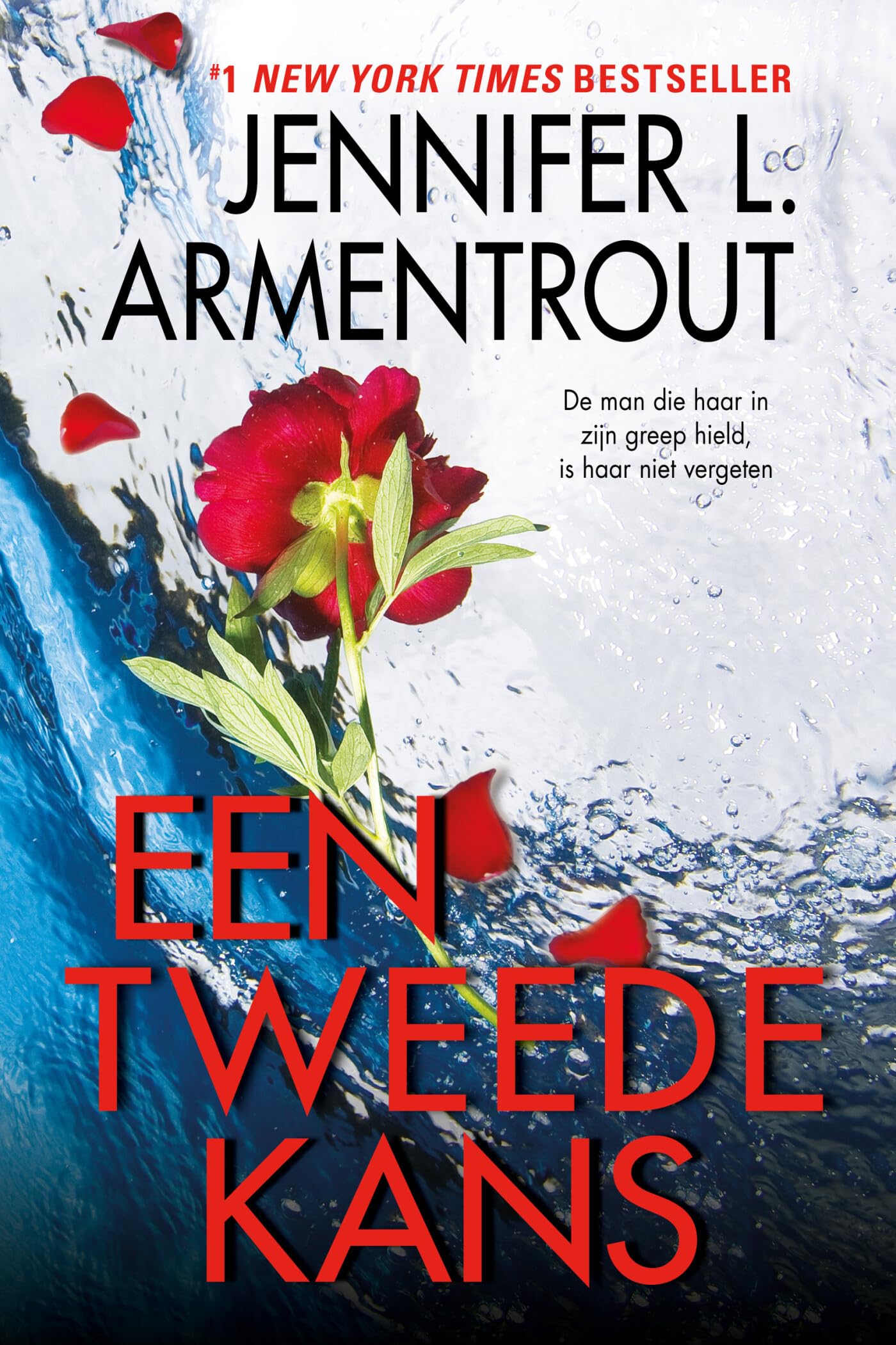 Een tweede kans book