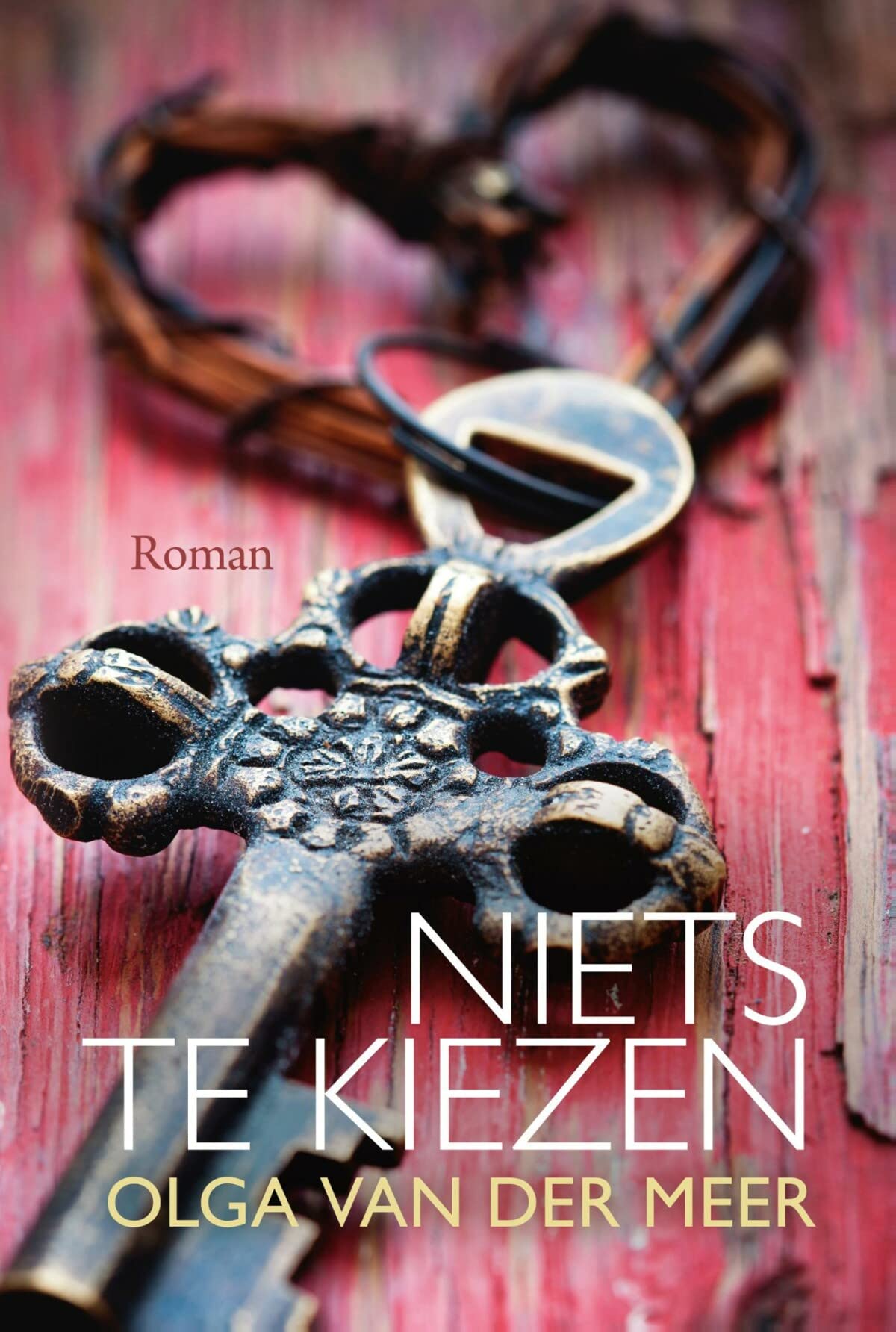 Niets te kiezen book