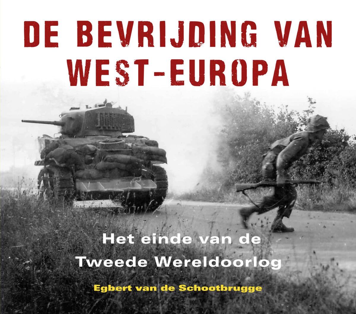 De bevrijding van West-Europa: het einde van de Tweede Wereldoorlog book