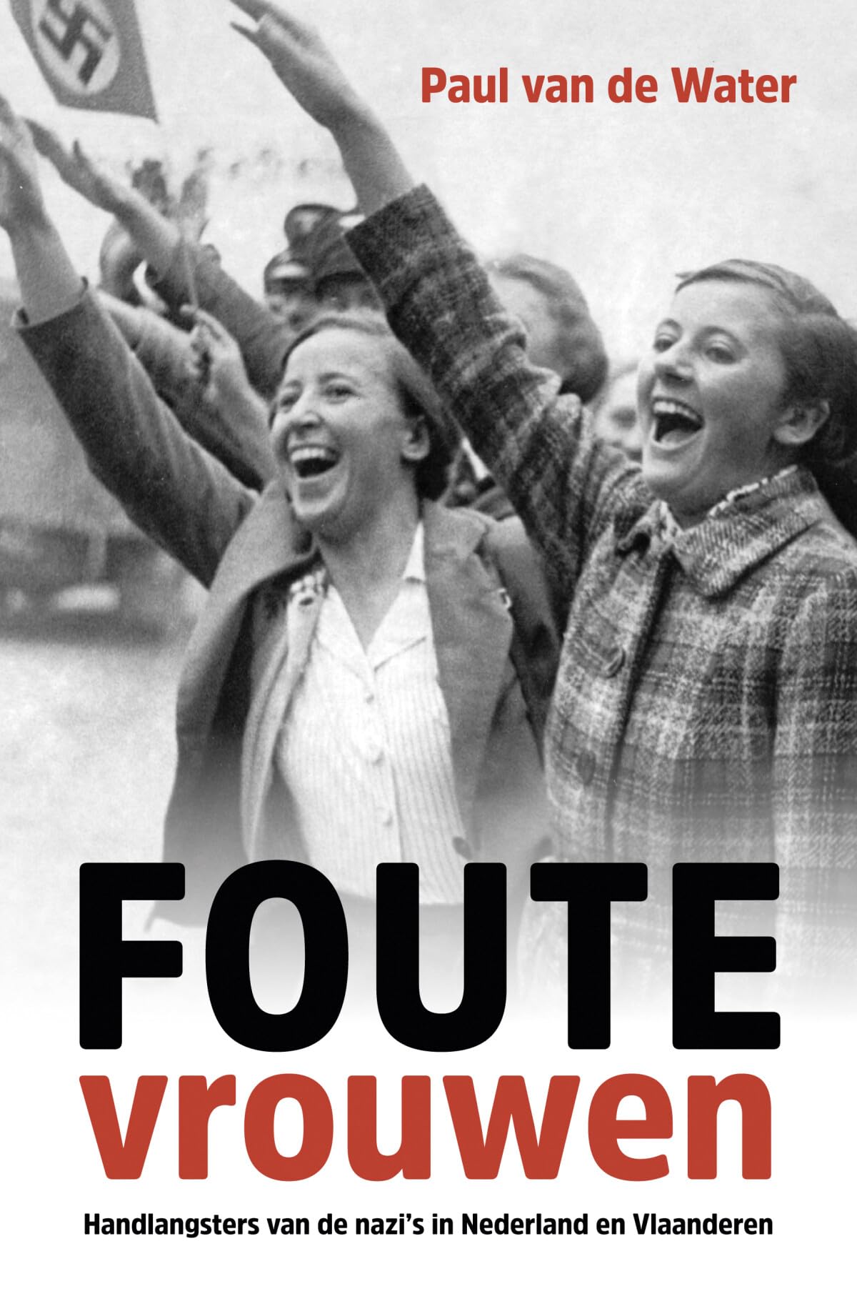 Foute vrouwen: handlangsters van de nazi's in Nederland en Vlaanderen book