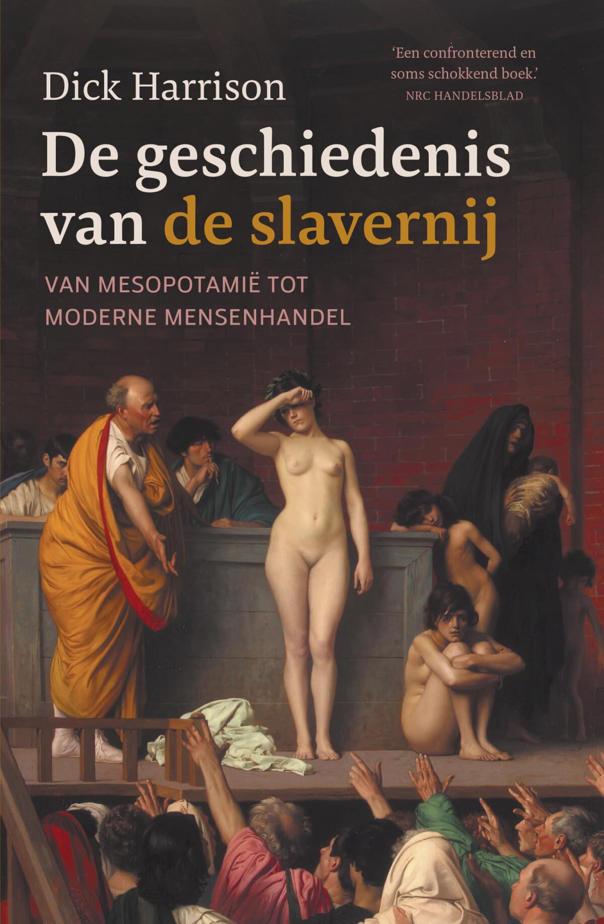De geschiedenis van de slavernij: van Mesopotamië tot moderne mensenhandel book