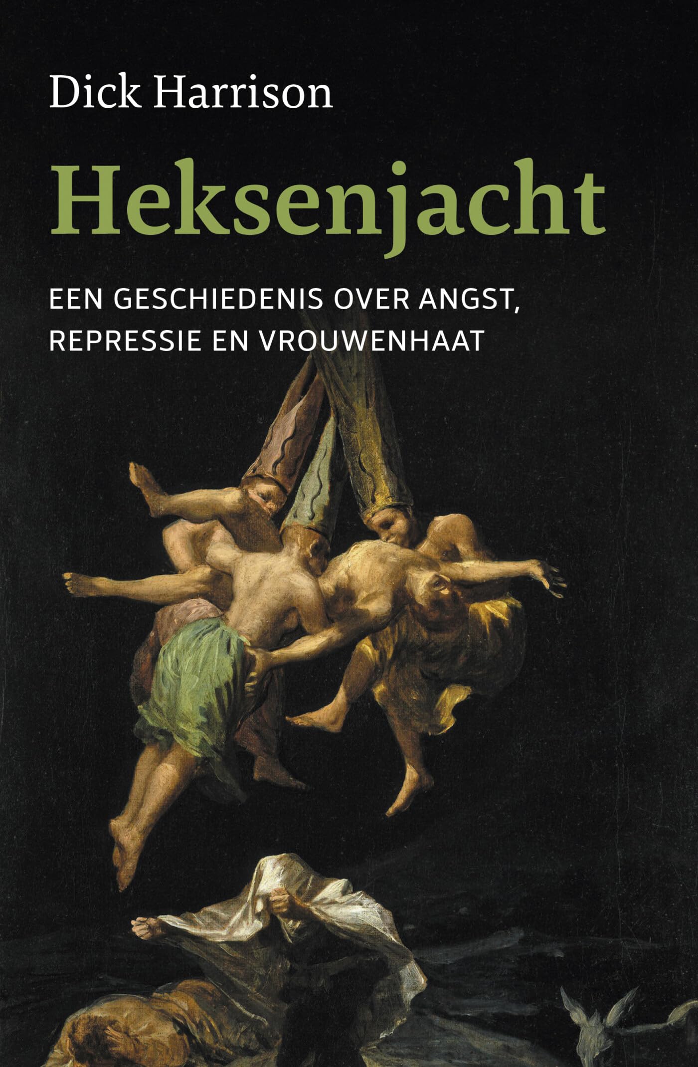 Heksenjacht: een geschiedenis over angst, repressie en vrouwenhaat Politics & History