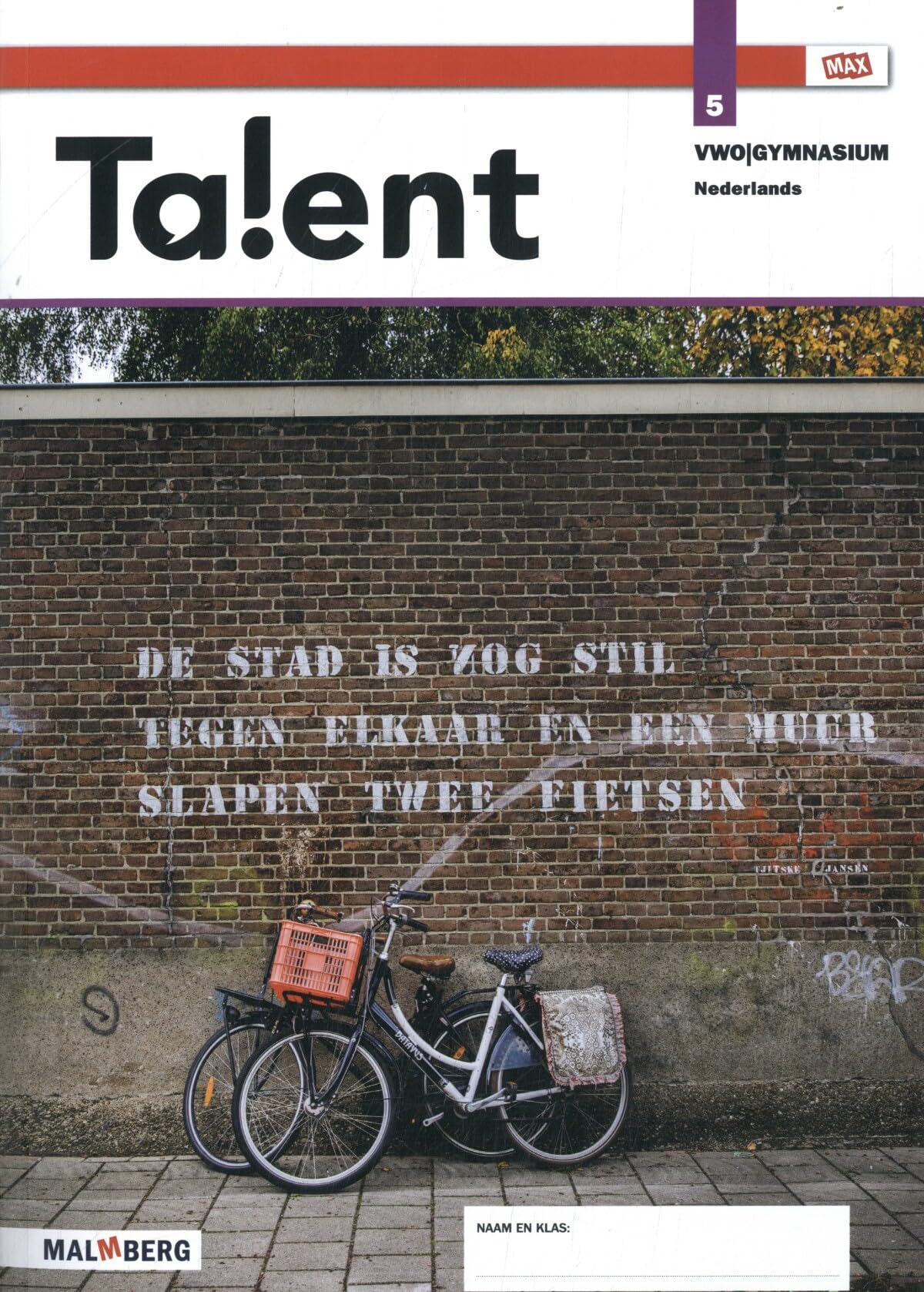 5 vwo/gymnasium Nederlands (Talent) Books