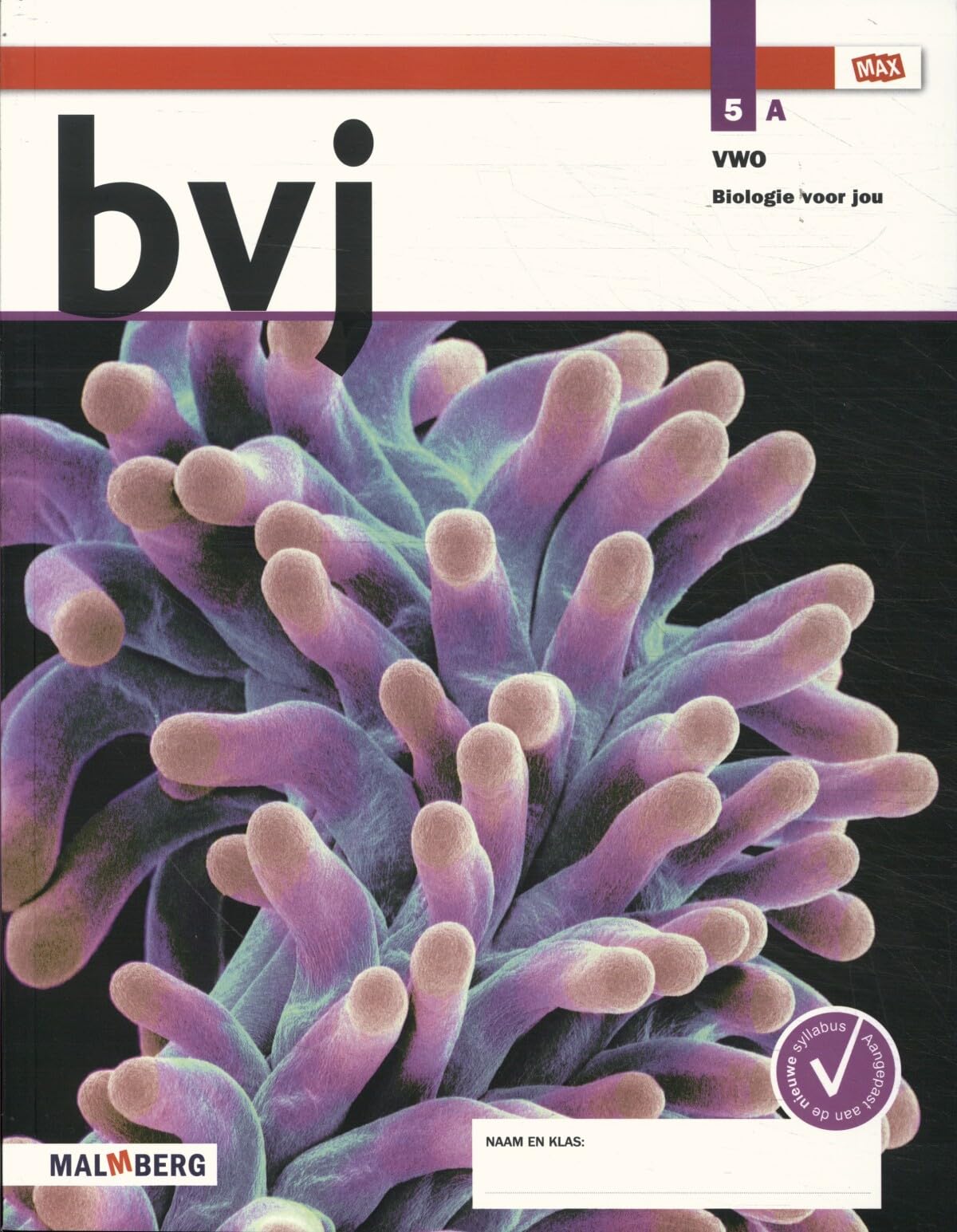 Leeropdrachtenboek A (5 vwo 6.2) Books