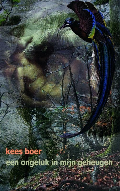 Een ongeluk in mijn geheugen Contemporary literature
