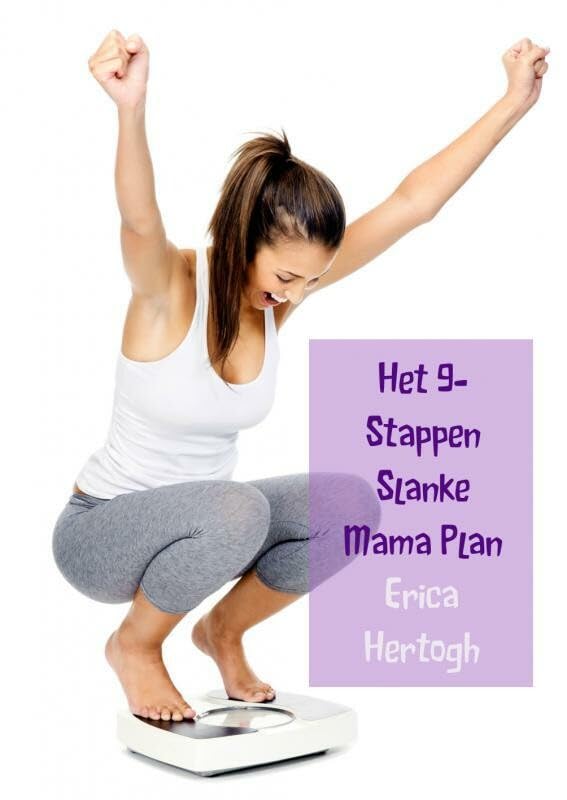 Het 9-Stappen Slanke Mama Plan: In 9 maanden op, in 9 stappen af! book