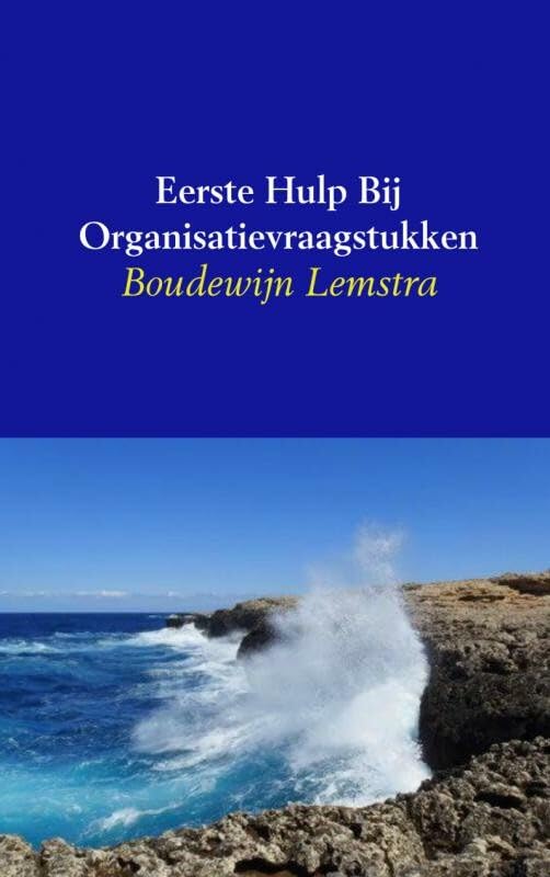 Eerste hulp bij organisatievraagstukken: de mogelijkheden van systemisch werken in bedrijf en organisatie Business, Finance & Career