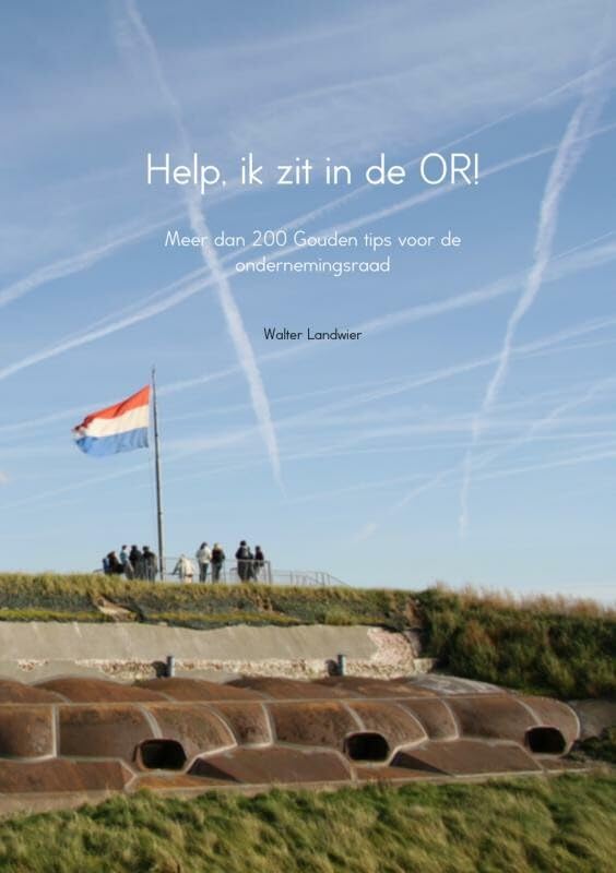 Help, ik zit in de OR!: meer dan 200 Gouden tips voor de ondernemingsraad Business, Finance & Career