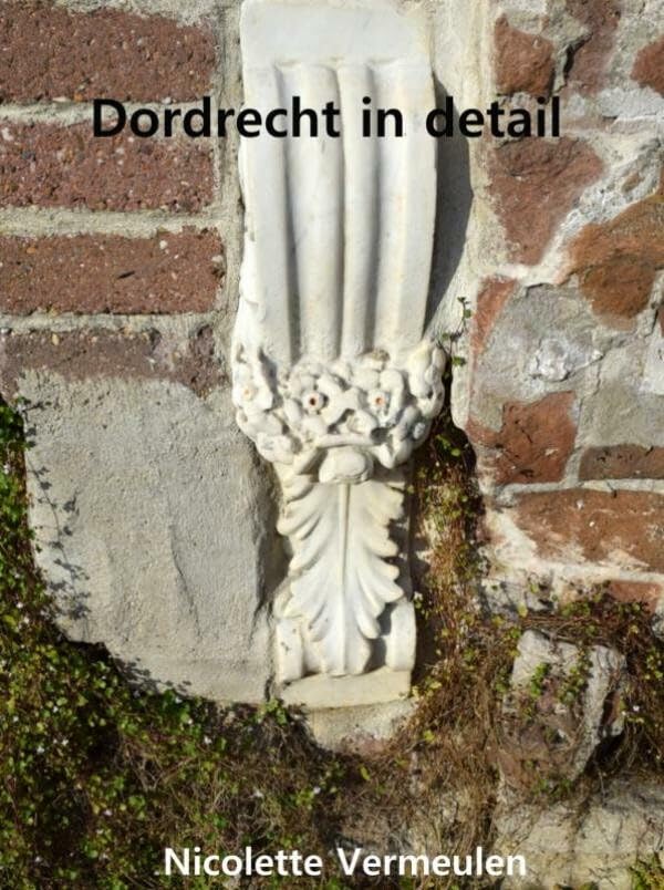 Dordrecht in detail book