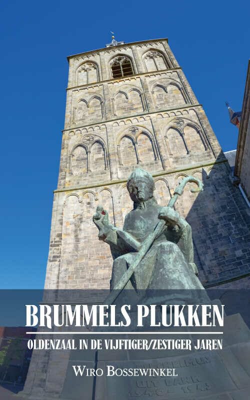 BRUMMELS PLUKKEN: Oldenzaal in de vijftiger/zestiger jaren book