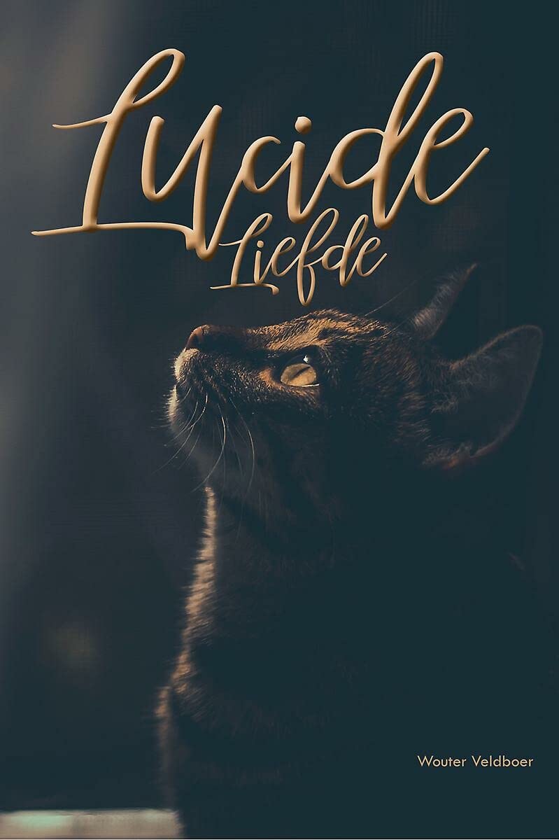 Lucide Liefde: roman van een tijdreiziger Contemporary literature